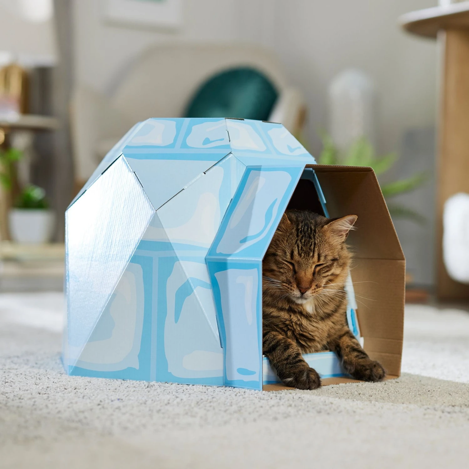 Frisco Igloo Cardboard Cat House