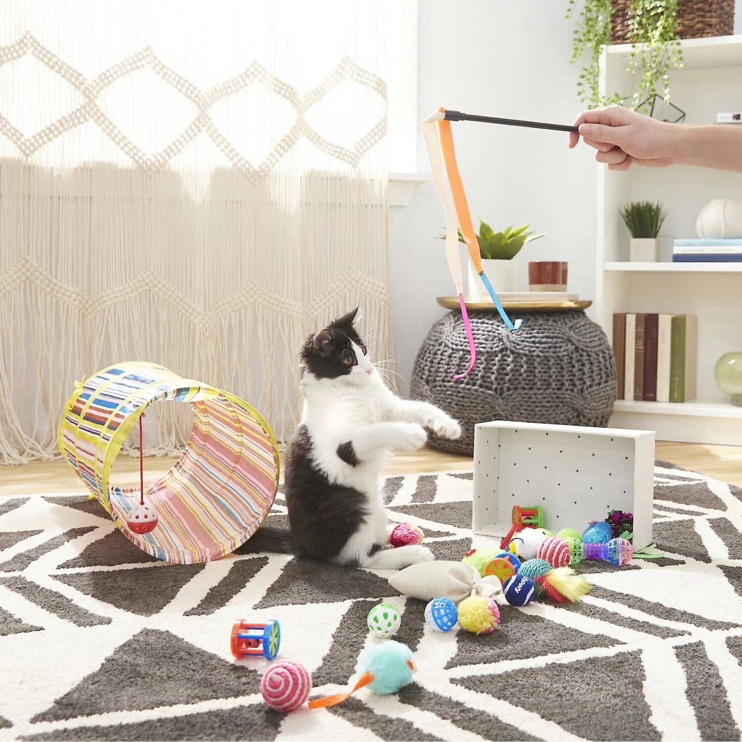 Sheba Meaty Tender Sticks Salmon Flavored Soft Adult Cat Treats & Frisco Plush, Teaser, Ball & Tunnel Variety Pack Cat Toy with Catnip