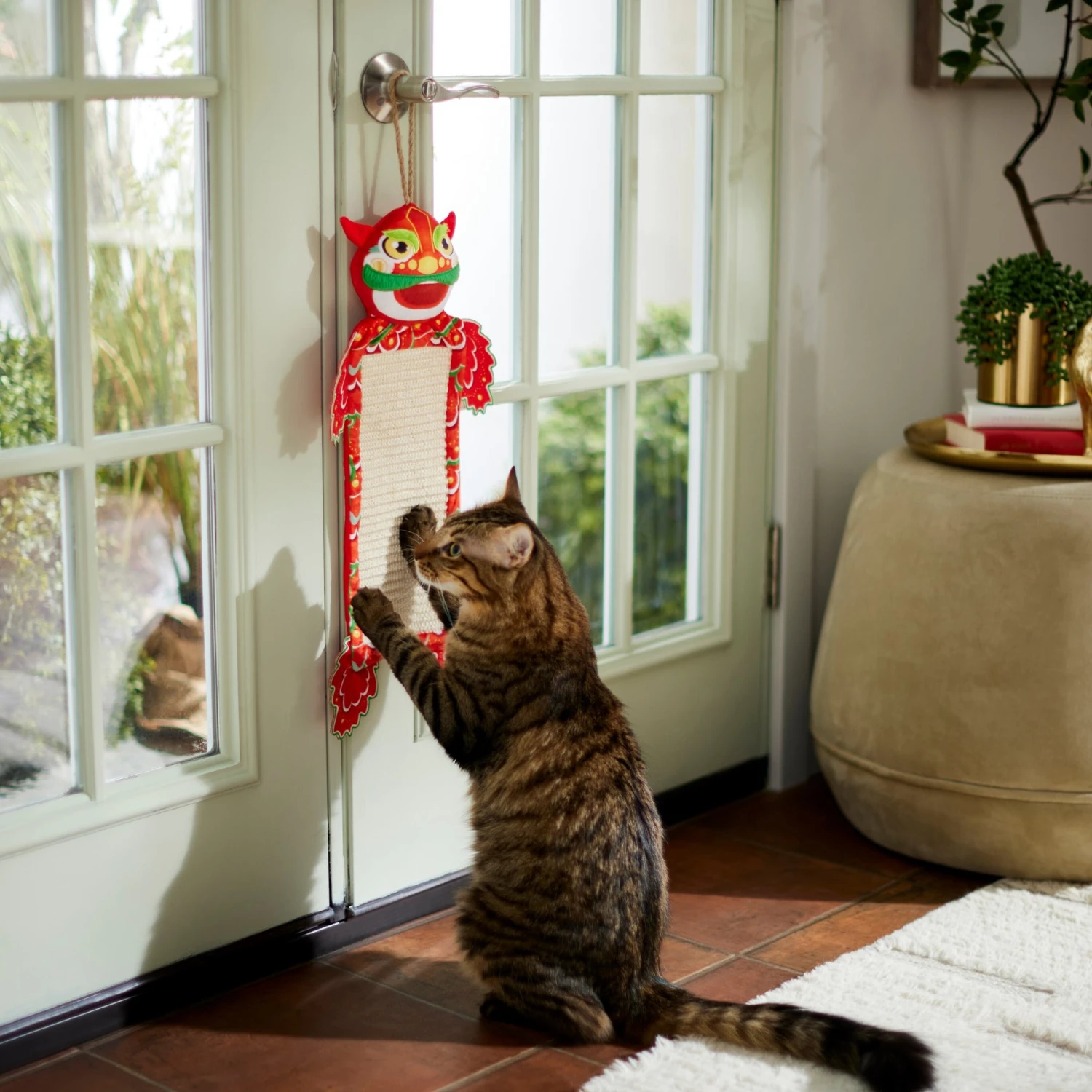 Frisco Lunar New Year Dragon Scratcher Cat Toy