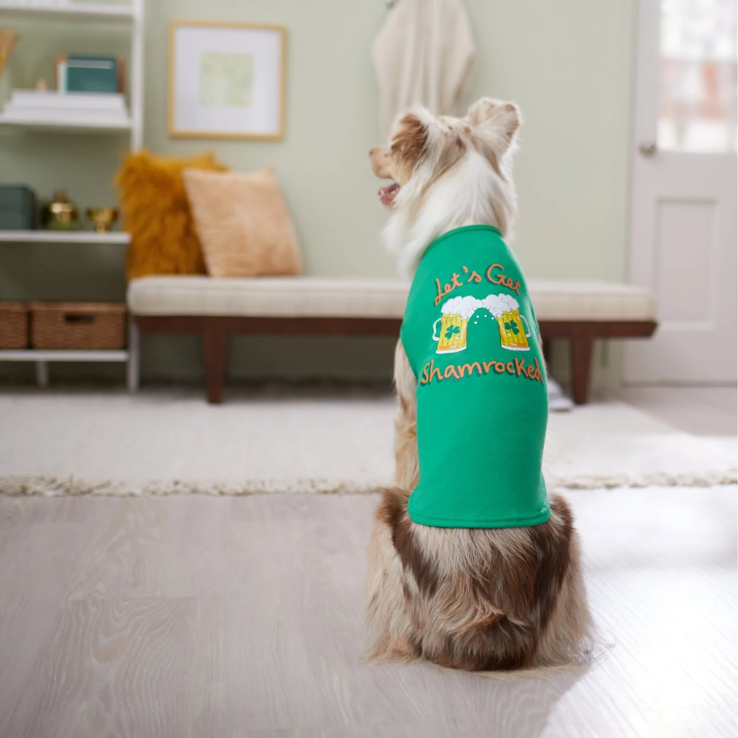 Frisco Let's Get Shamrocked Dog & Cat T-Shirt