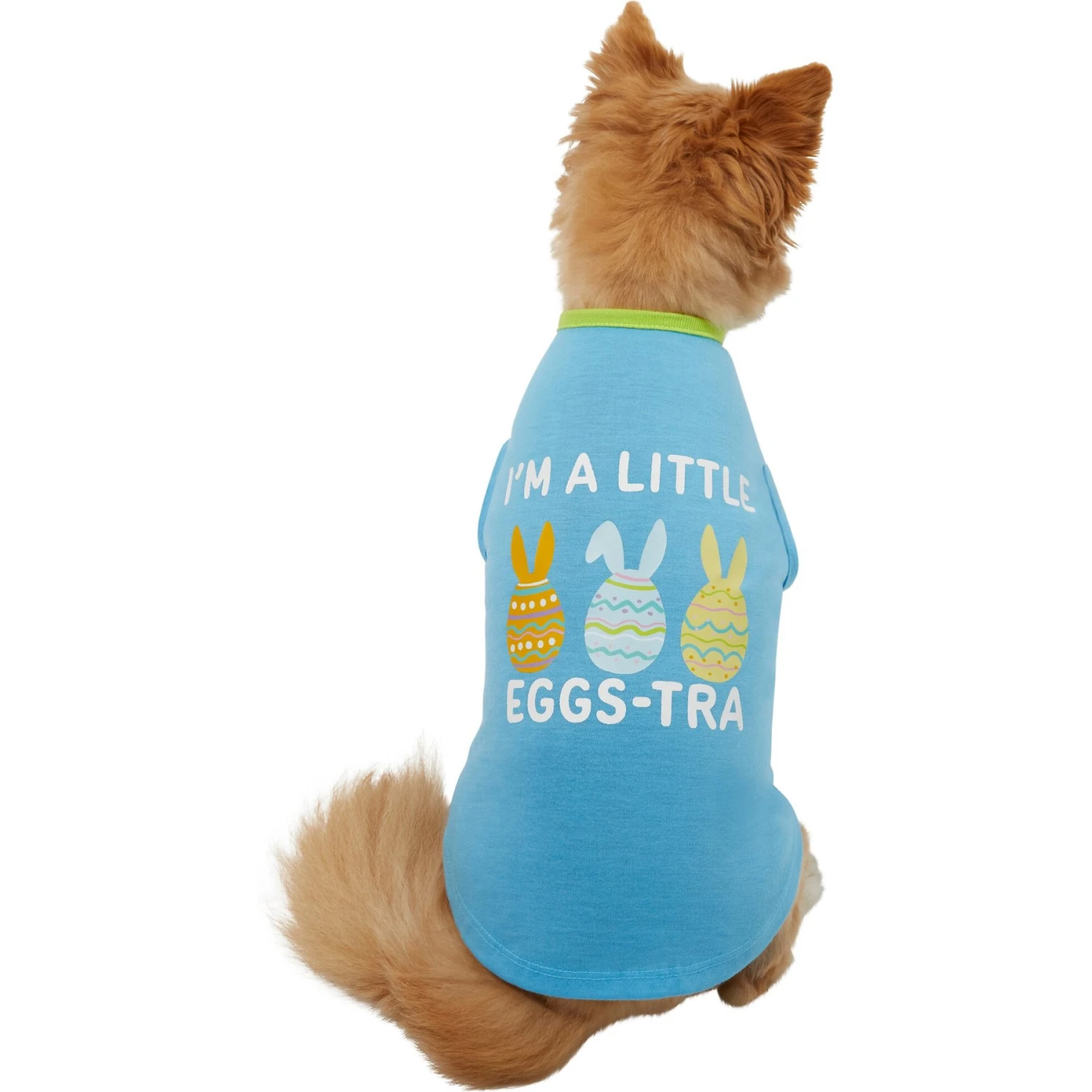 Frisco I'm a Little Eggs-tra Dog & Cat T-Shirt
