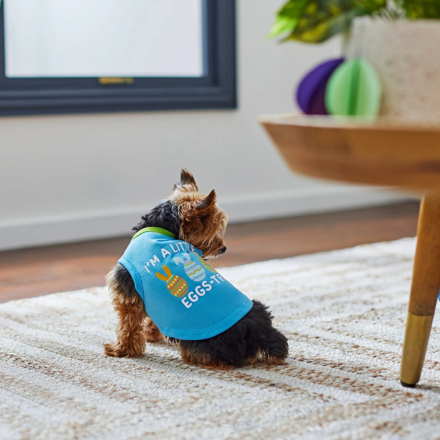 Frisco I'm a Little Eggs-tra Dog & Cat T-Shirt