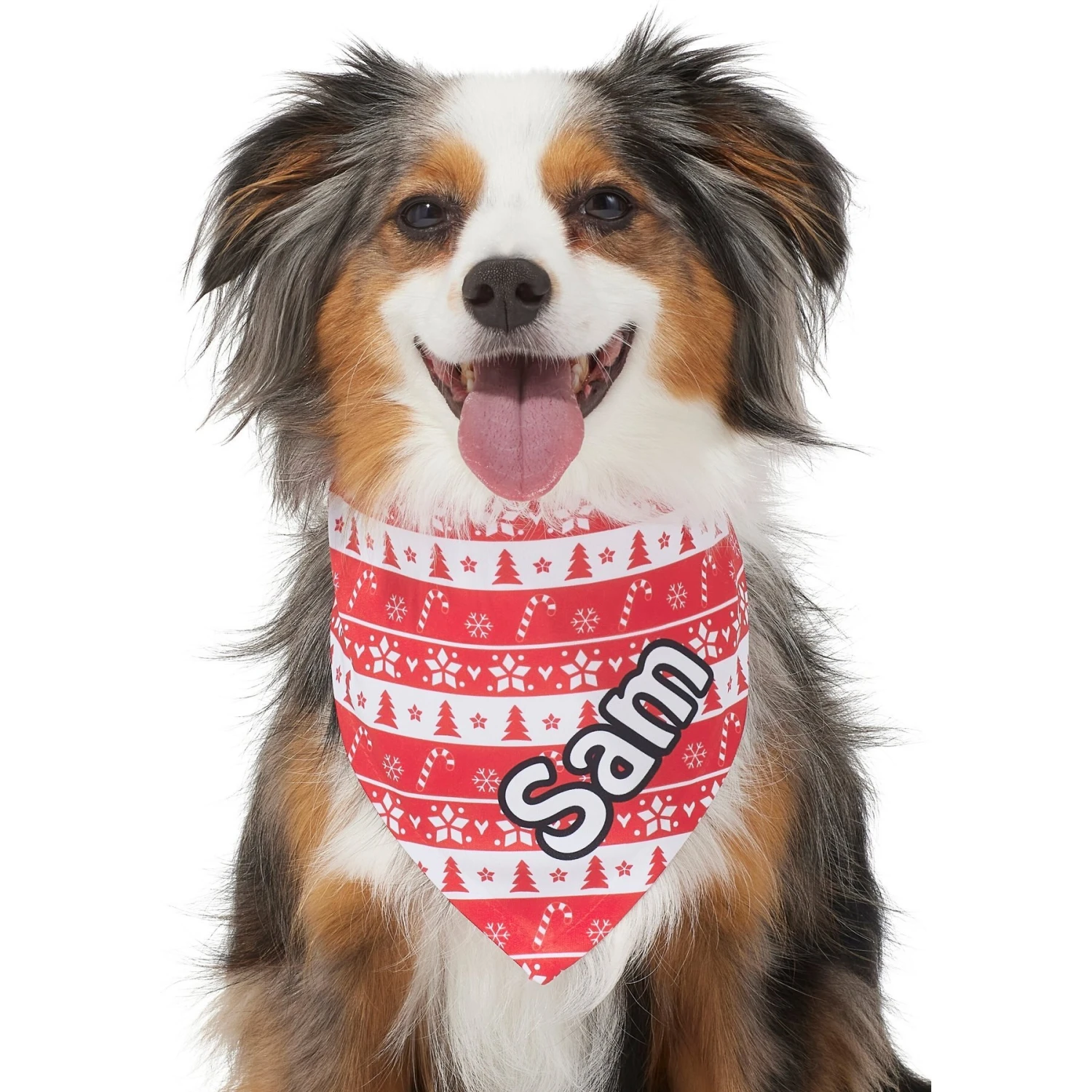 Frisco Fair Isle Personalized Dog & Cat Bandana