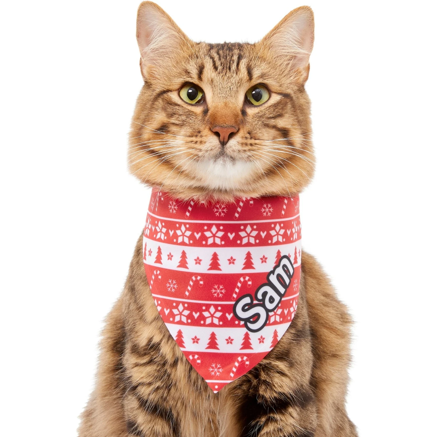 Frisco Fair Isle Personalized Dog & Cat Bandana