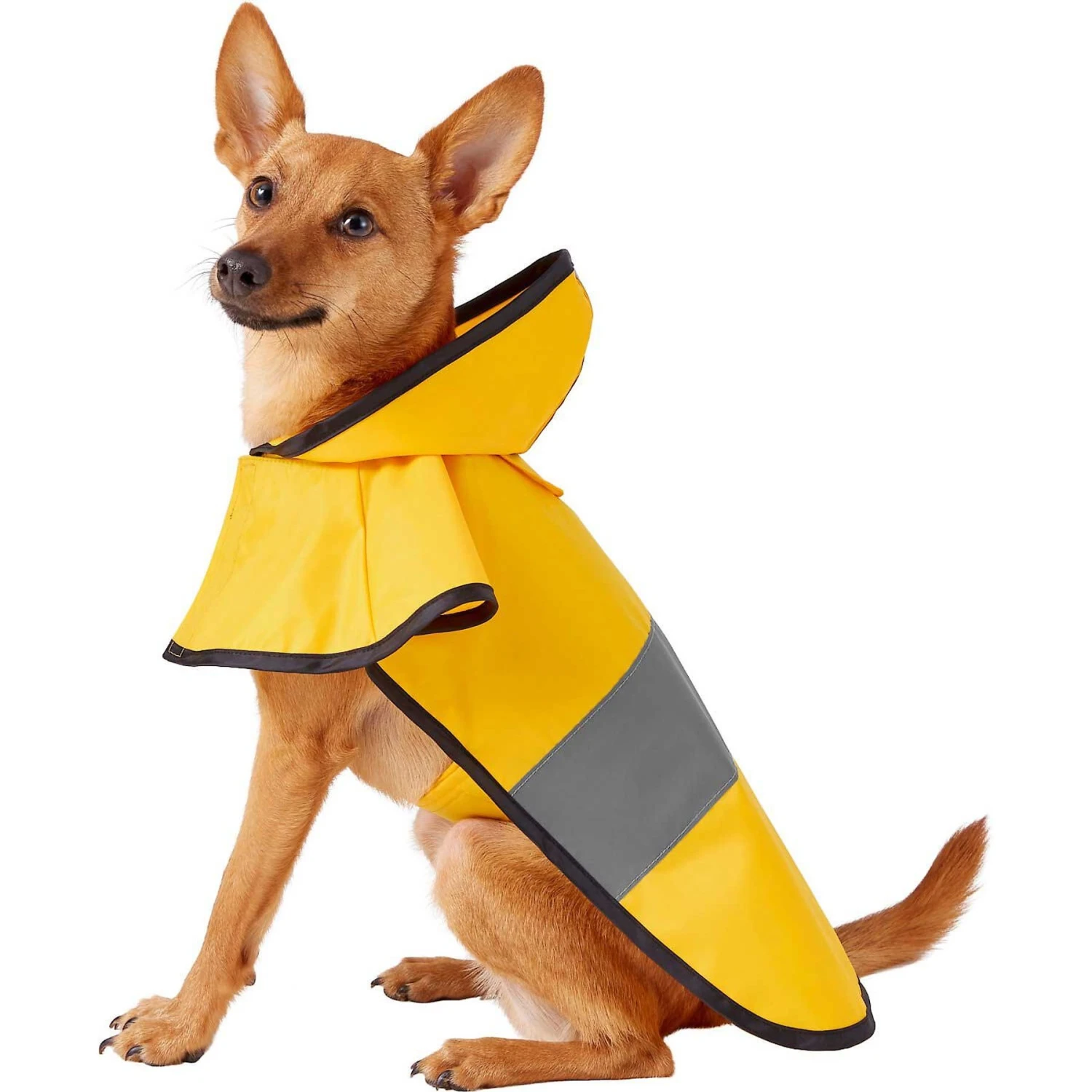 Frisco Lightweight Rainy Days Dog Raincoat & Frisco Lightweight Rubber Ducky Dog Raincoat