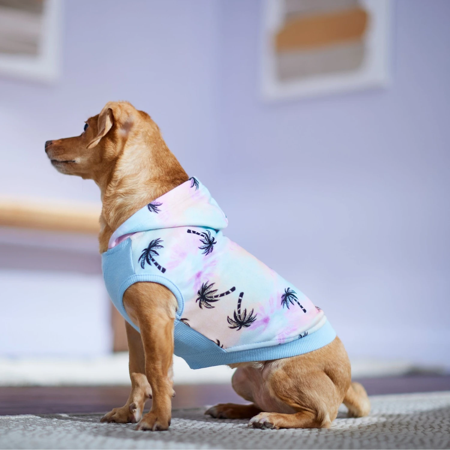 Frisco Palm Tree Dog & Cat Hoodie