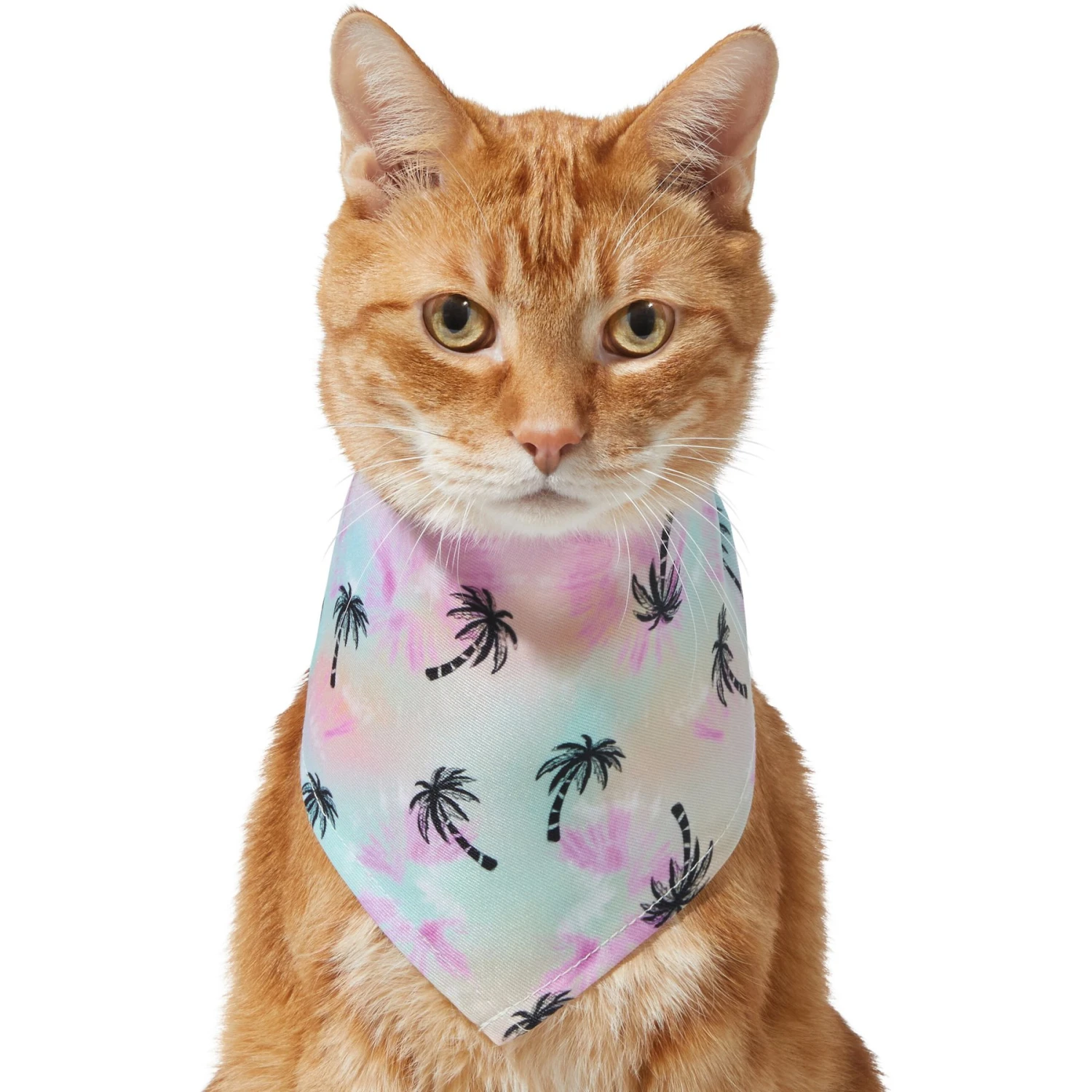 Frisco Palm Tree Dog & Cat Bandana