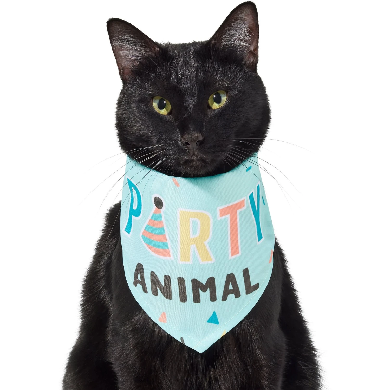 Frisco Party Animal Dog & Cat Bandana