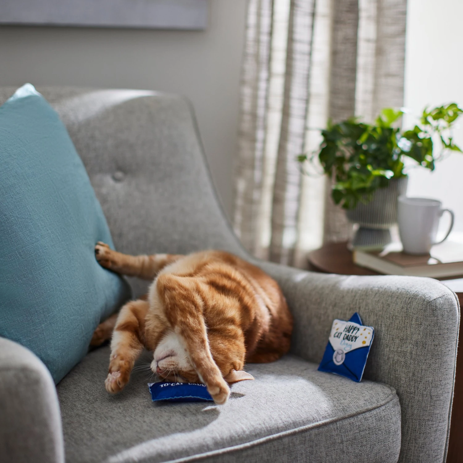 Frisco Father's Day Card Felt Cat Toy with Catnip, 2 count