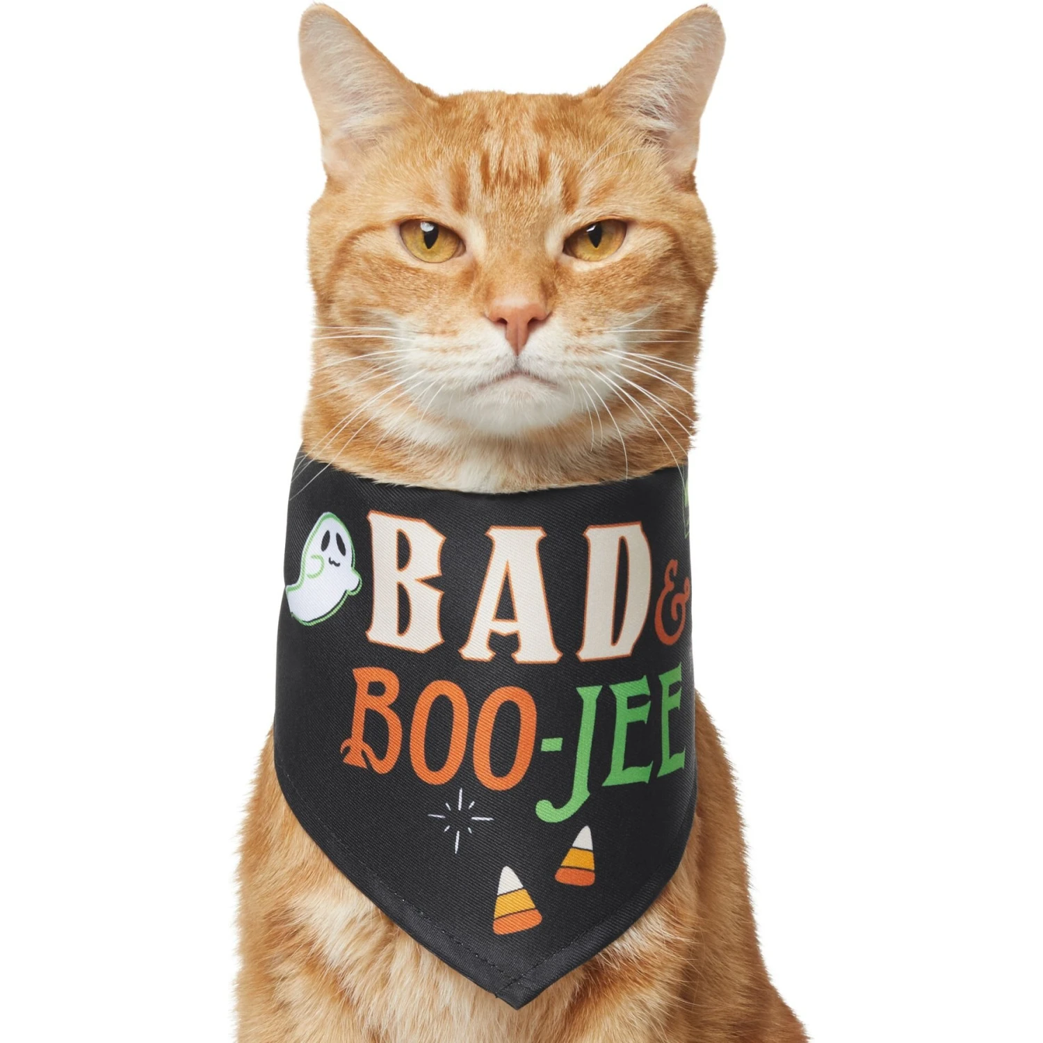 Frisco Bad & Boo-Jee Dog & Cat Costume Bandana