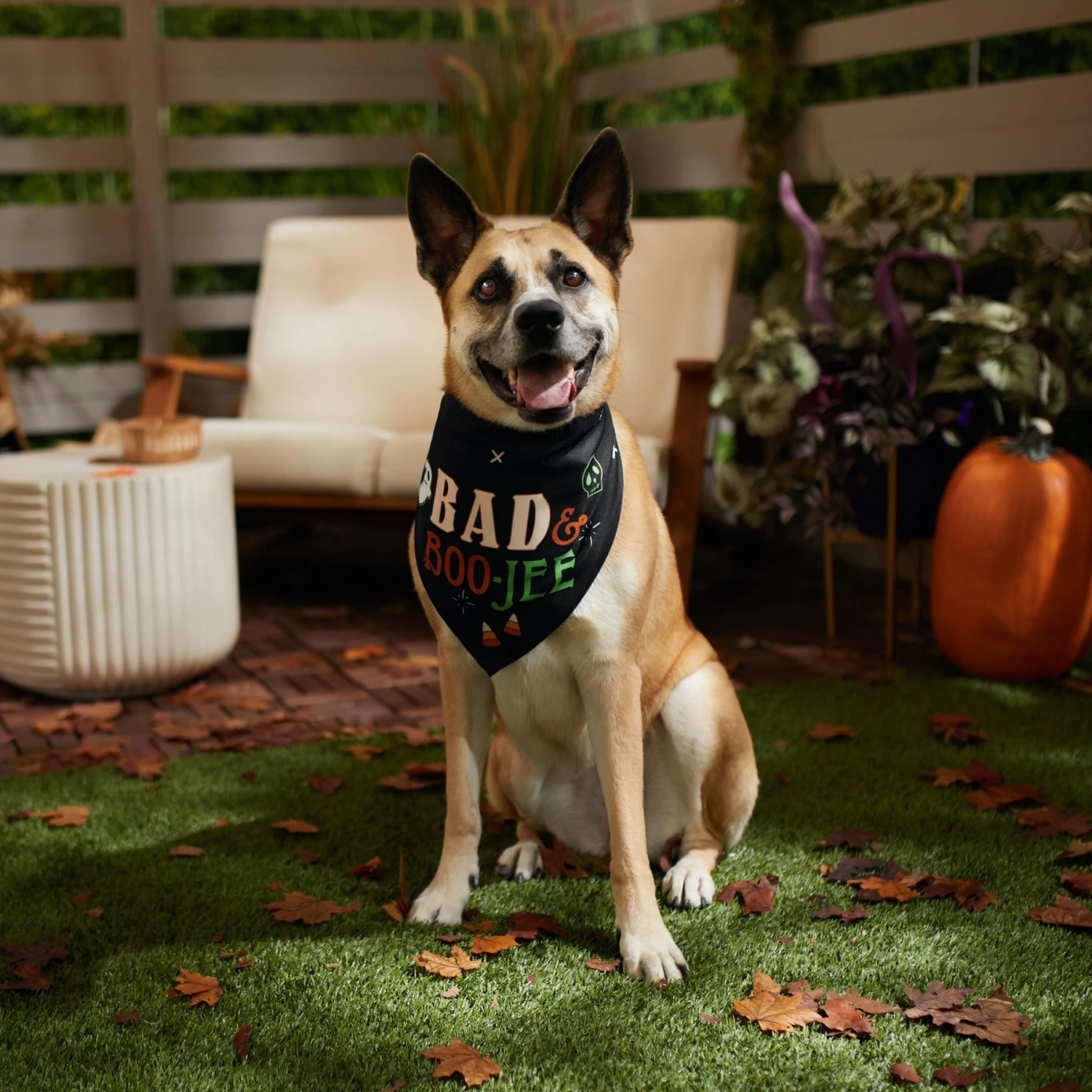 Frisco Bad & Boo-Jee Dog & Cat Costume Bandana