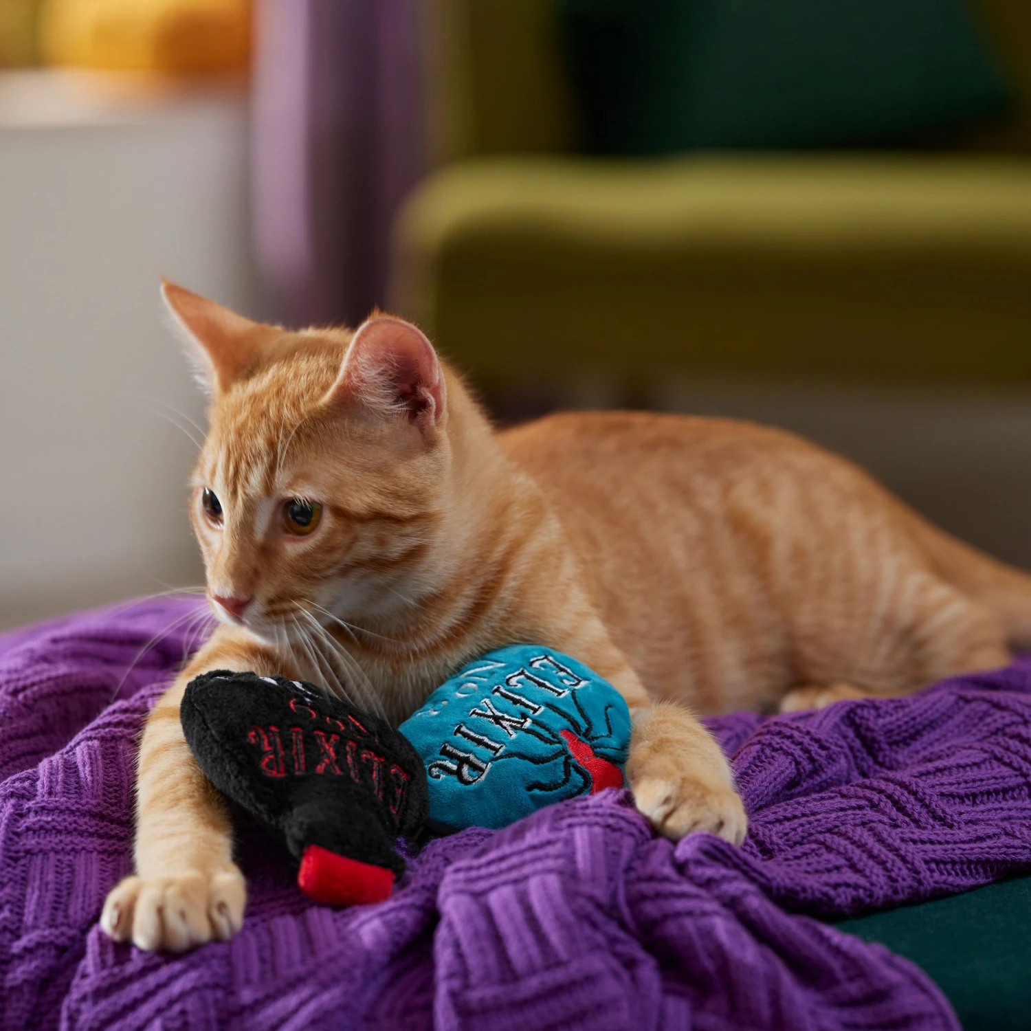 Frisco Halloween Elixirs Plush Cat Toy with Catnip