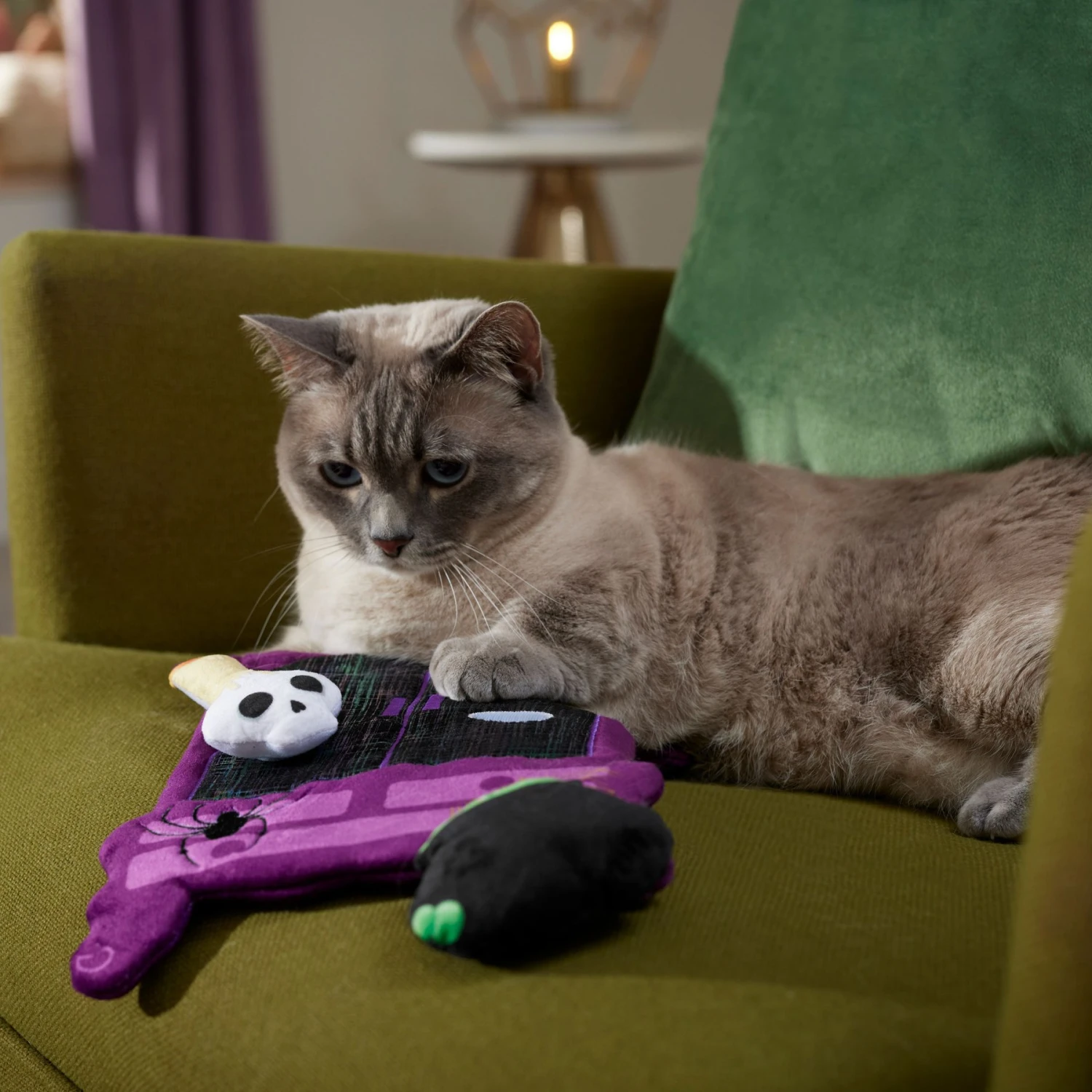 Frisco Halloween Magical Wardrobe Interactive Plush Cat Toy with Catnip