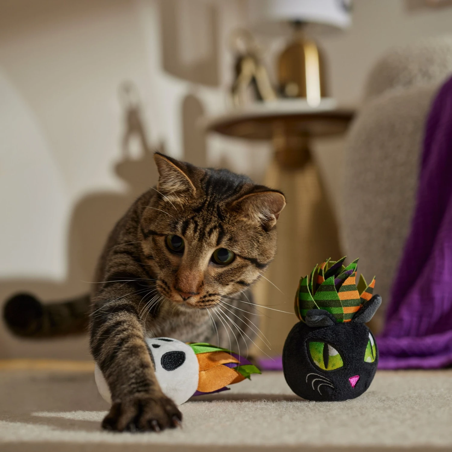 Frisco Halloween Succulents Plush Cat Toy with Catnip, 2 count
