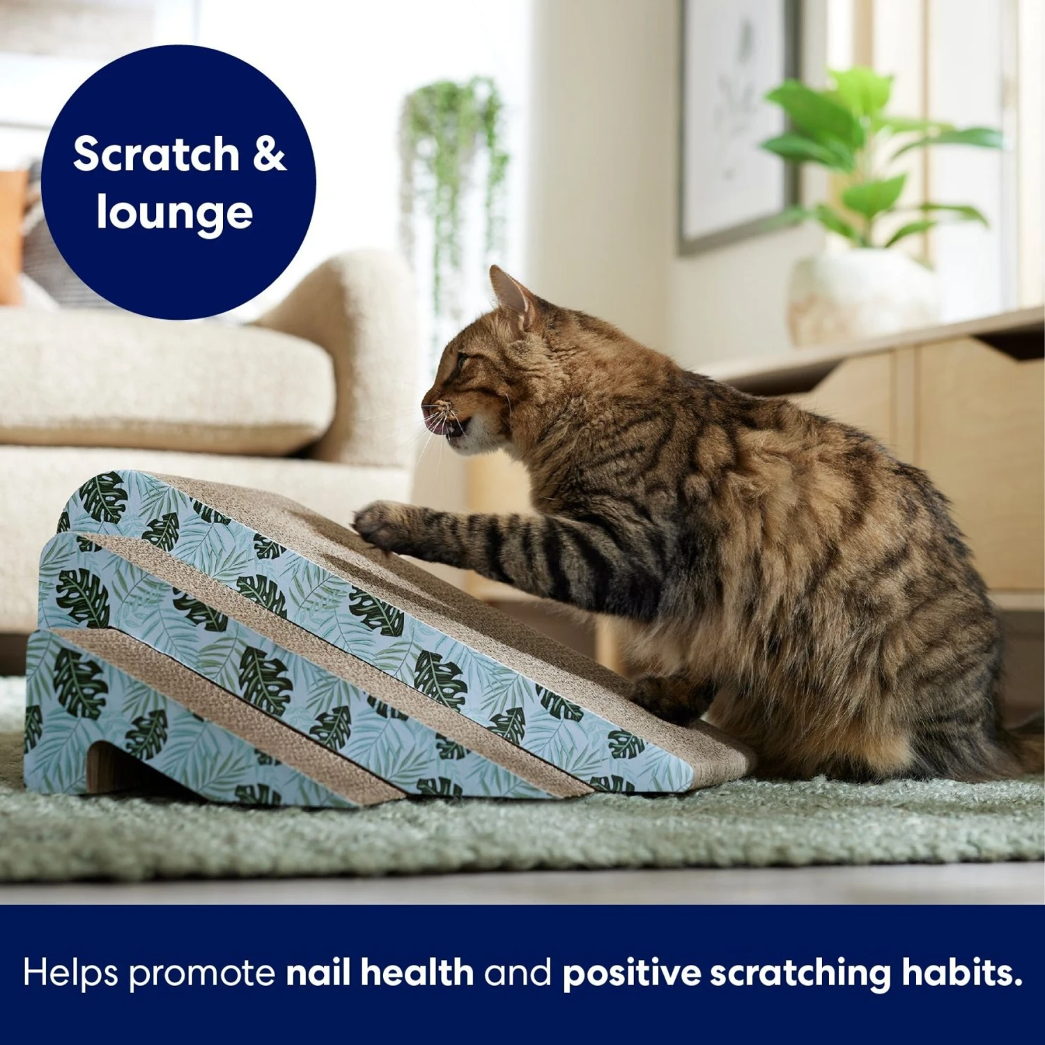 Frisco Nesting Cat Scratcher Toy with Catnip, Tropical Paradise