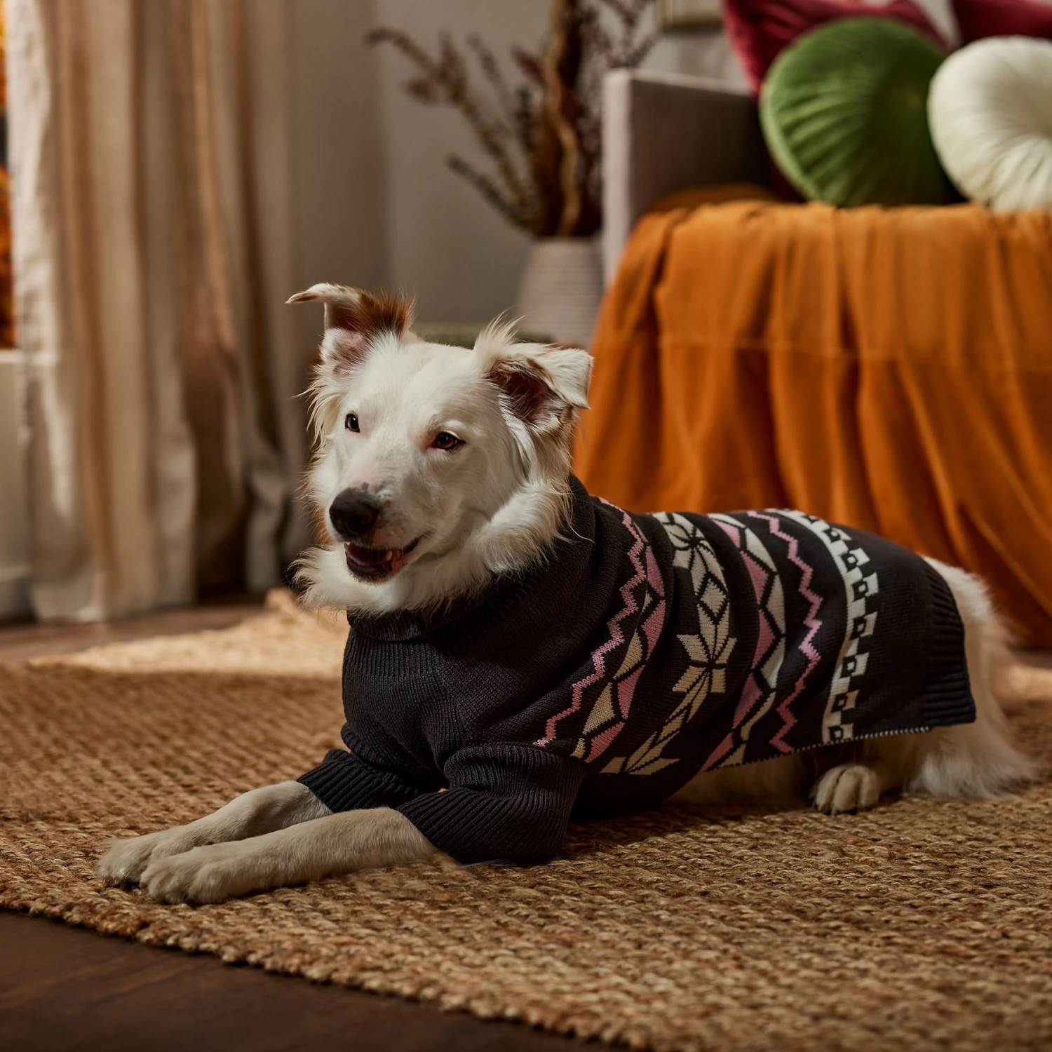 Frisco Gray Chevron Print Dog & Cat Sweater