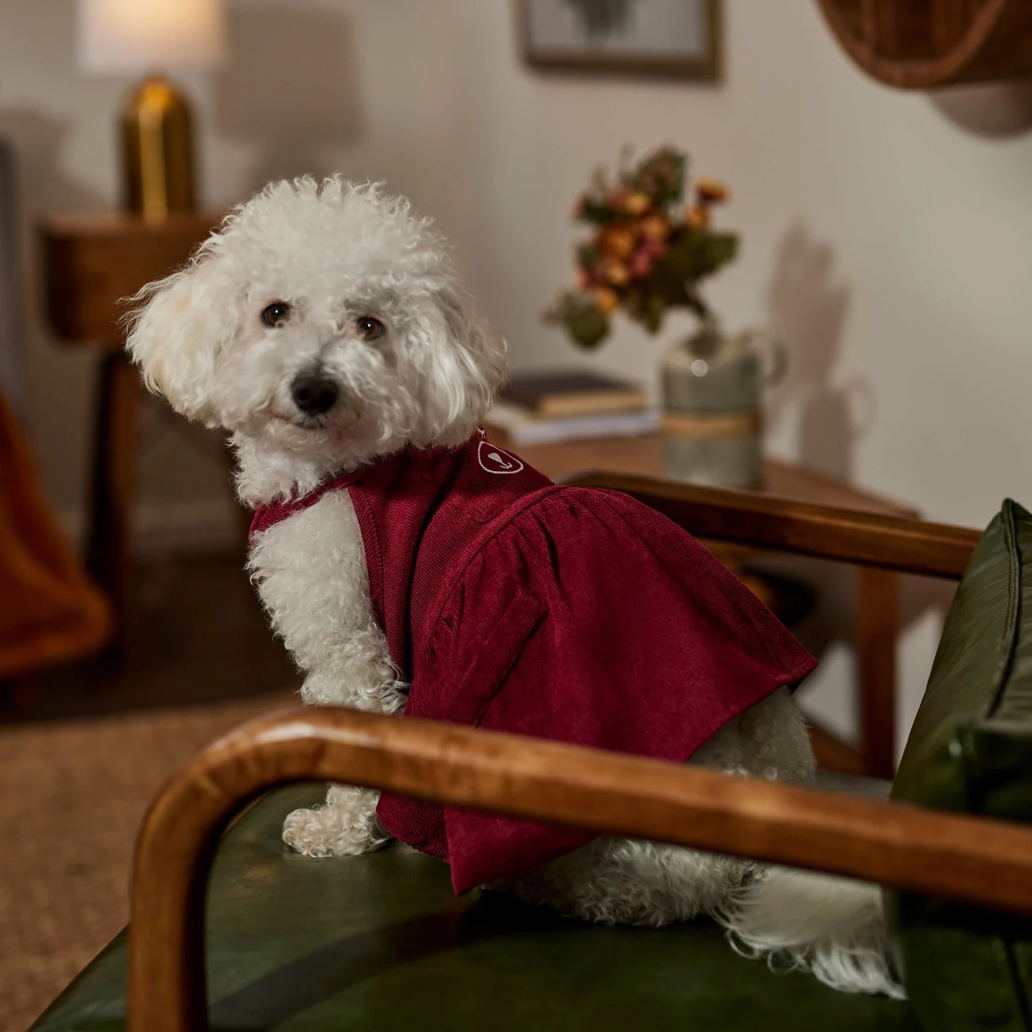 Frisco Sleepy Face Dog & Cat Dress