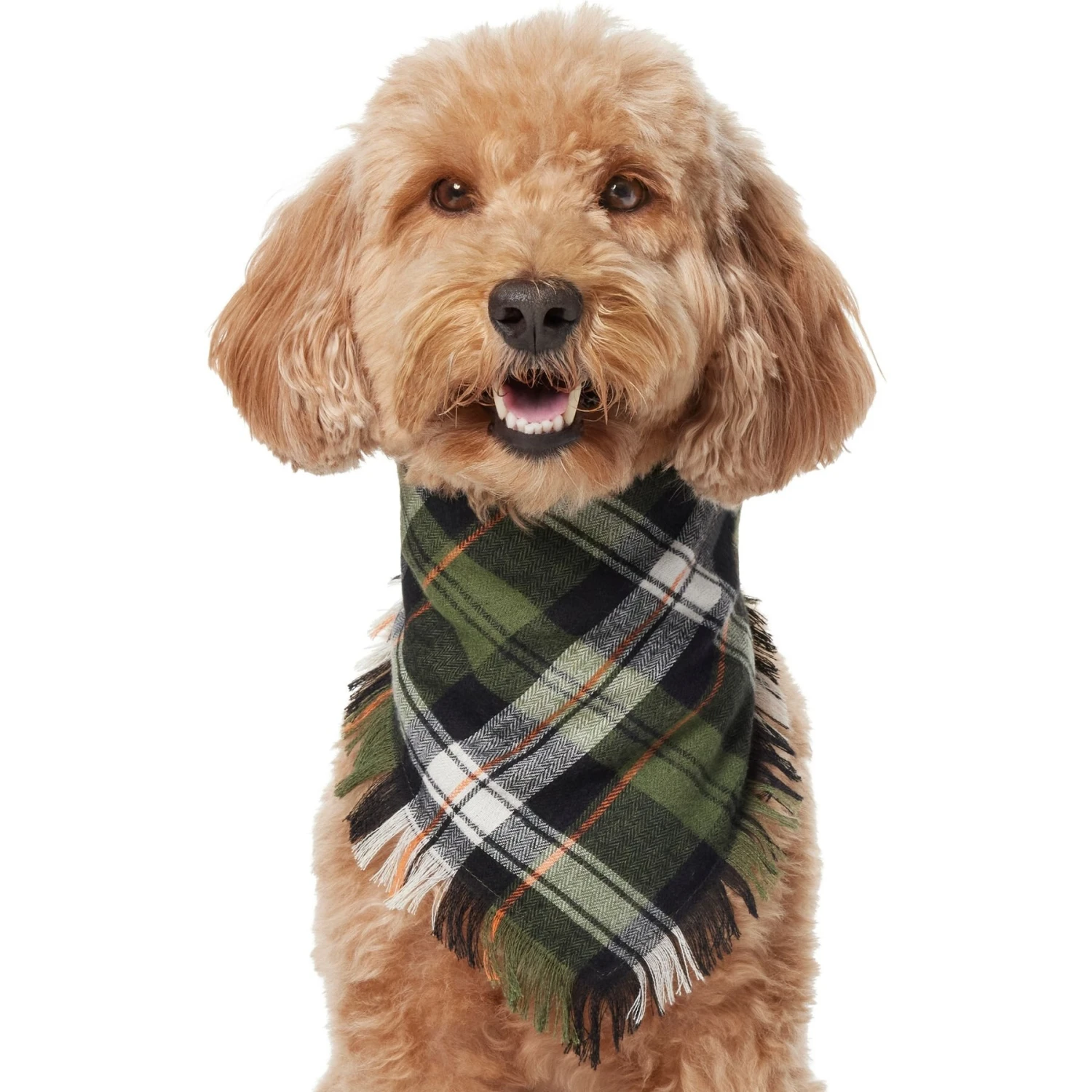 Frisco Plaid Fringe Dog & Cat Bandana