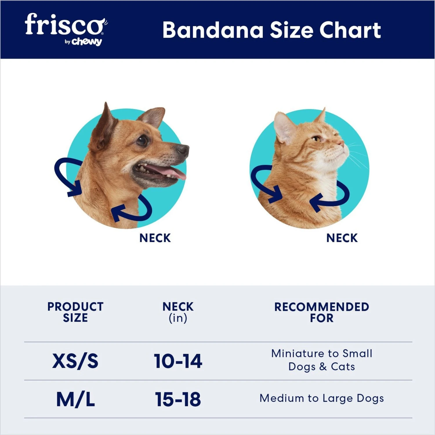 Frisco Southwest Fringe Dog & Cat Bandana