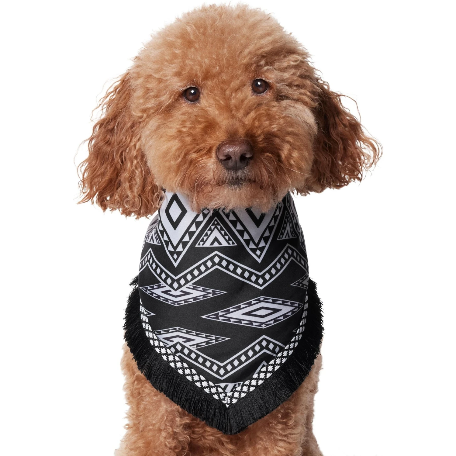 Frisco Southwest Fringe Dog & Cat Bandana