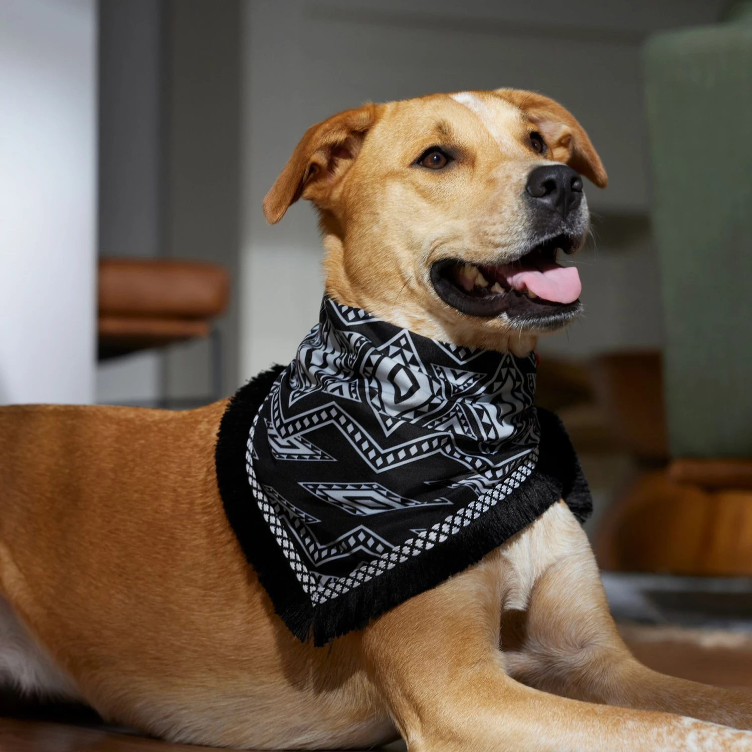 Frisco Southwest Fringe Dog & Cat Bandana