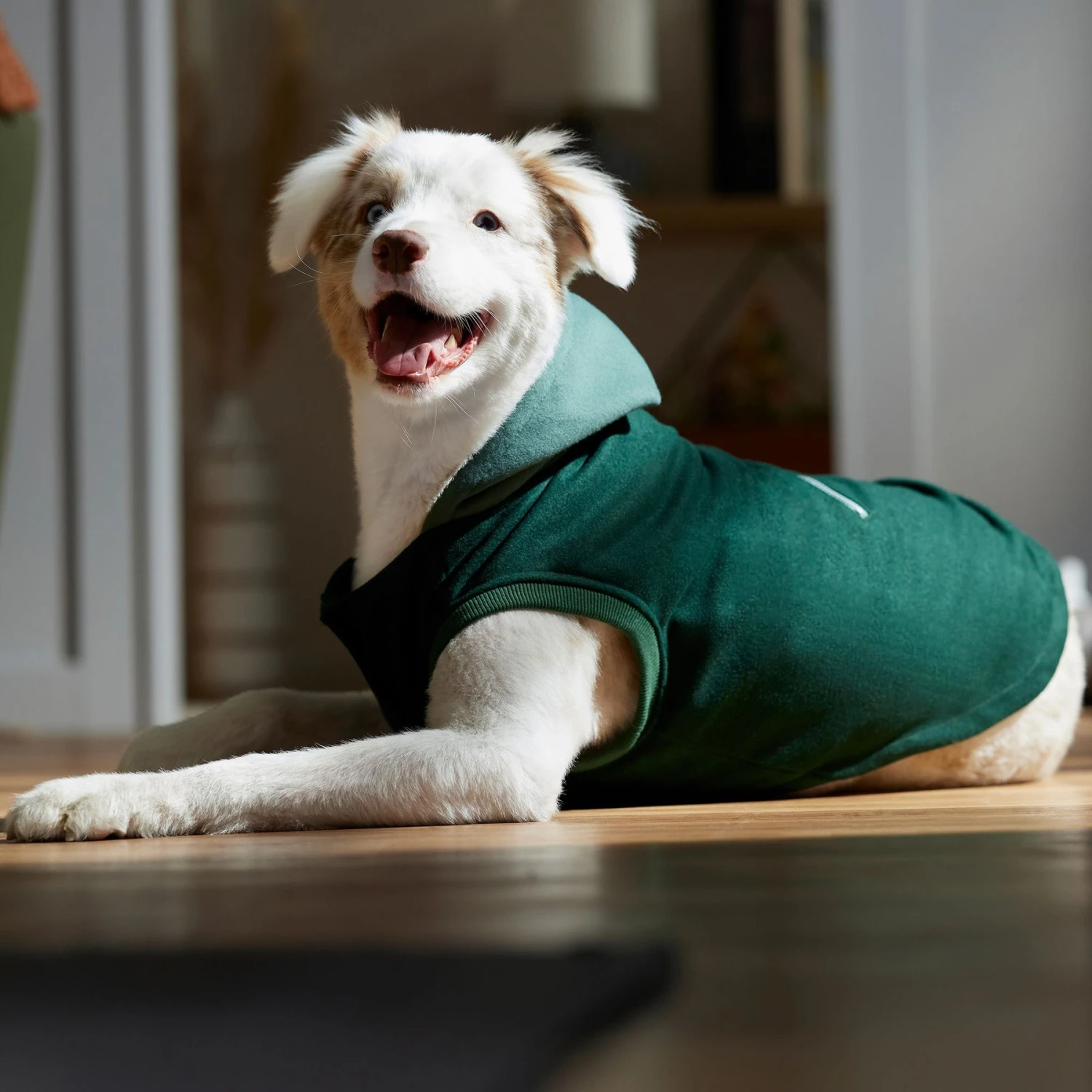 Frisco Lightweight Classic Dog & Cat Coat