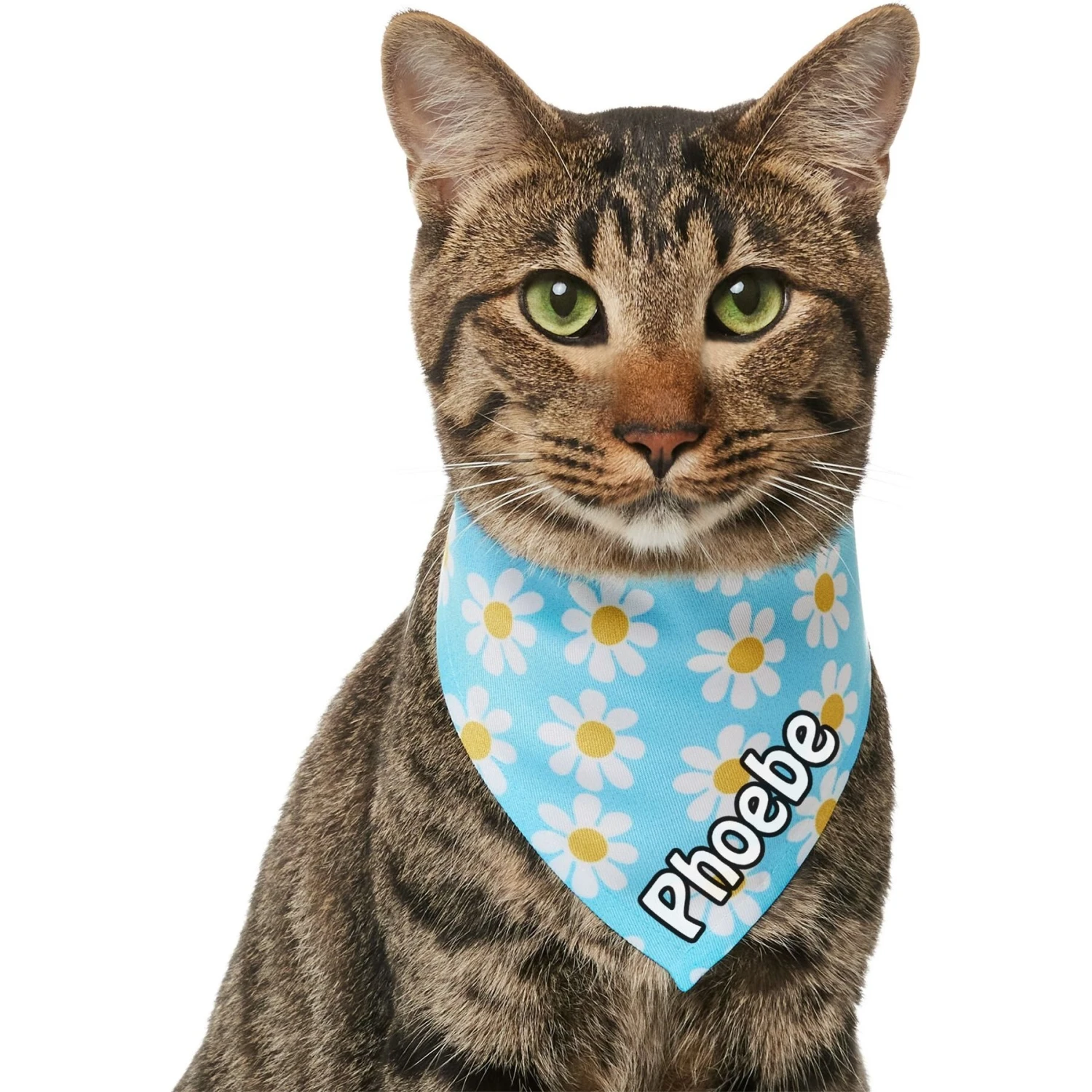 Frisco Personalized Blue Daisy Bandana