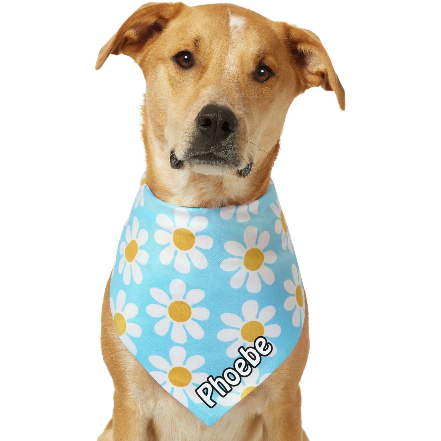 Frisco Personalized Blue Daisy Bandana