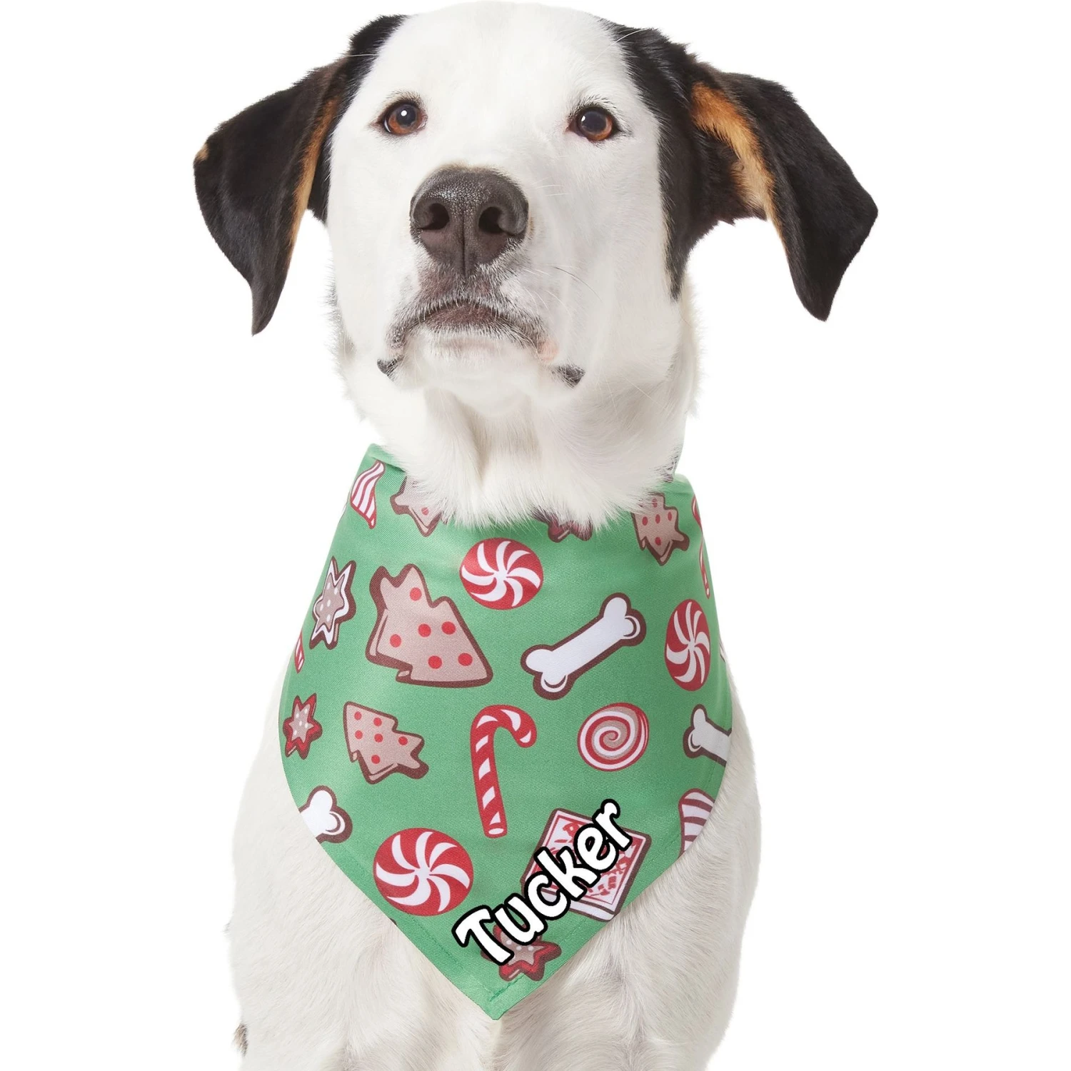Frisco Gingerbread Treats Personalized Dog & Cat Bandana