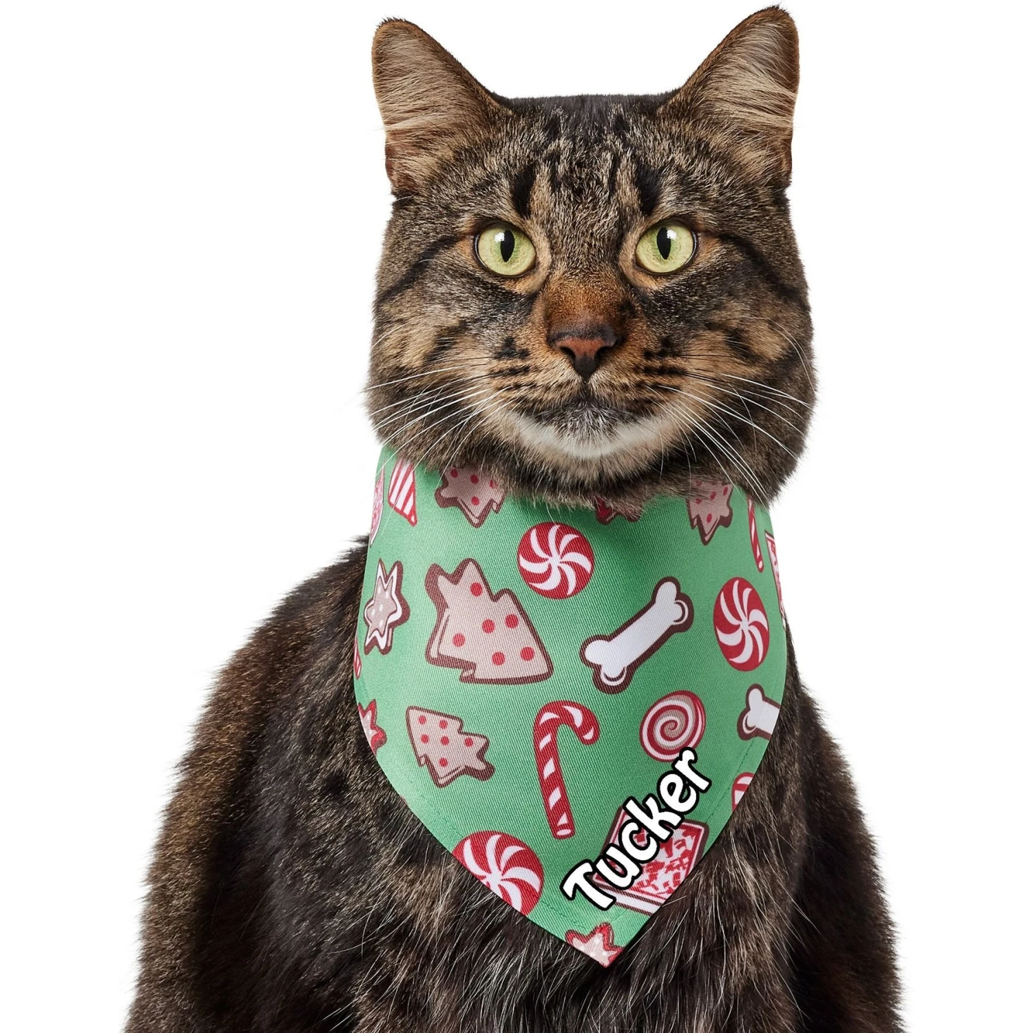 Frisco Gingerbread Treats Personalized Dog & Cat Bandana