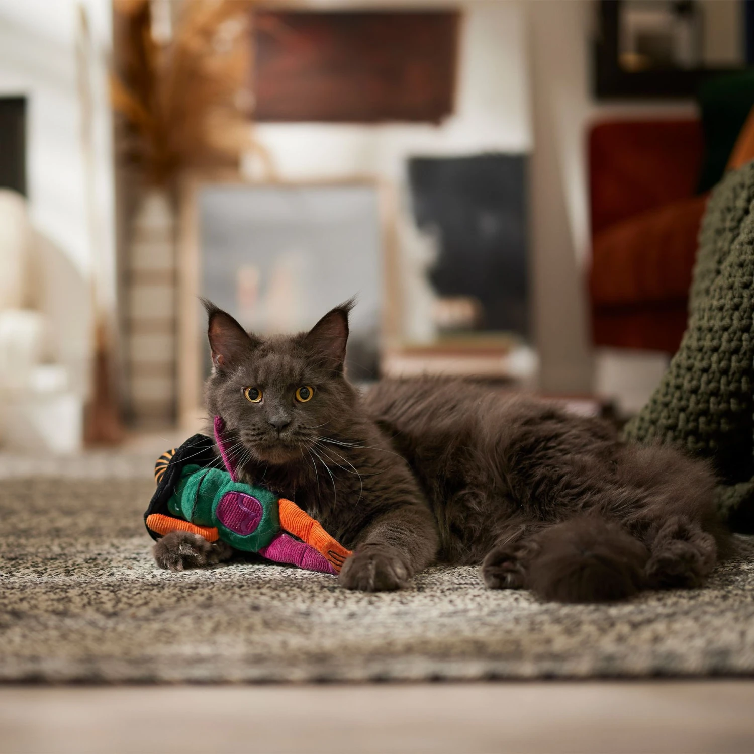 Frisco Halloween Frog in Witch Hat Plush Kicker Cat Toy with Catnip