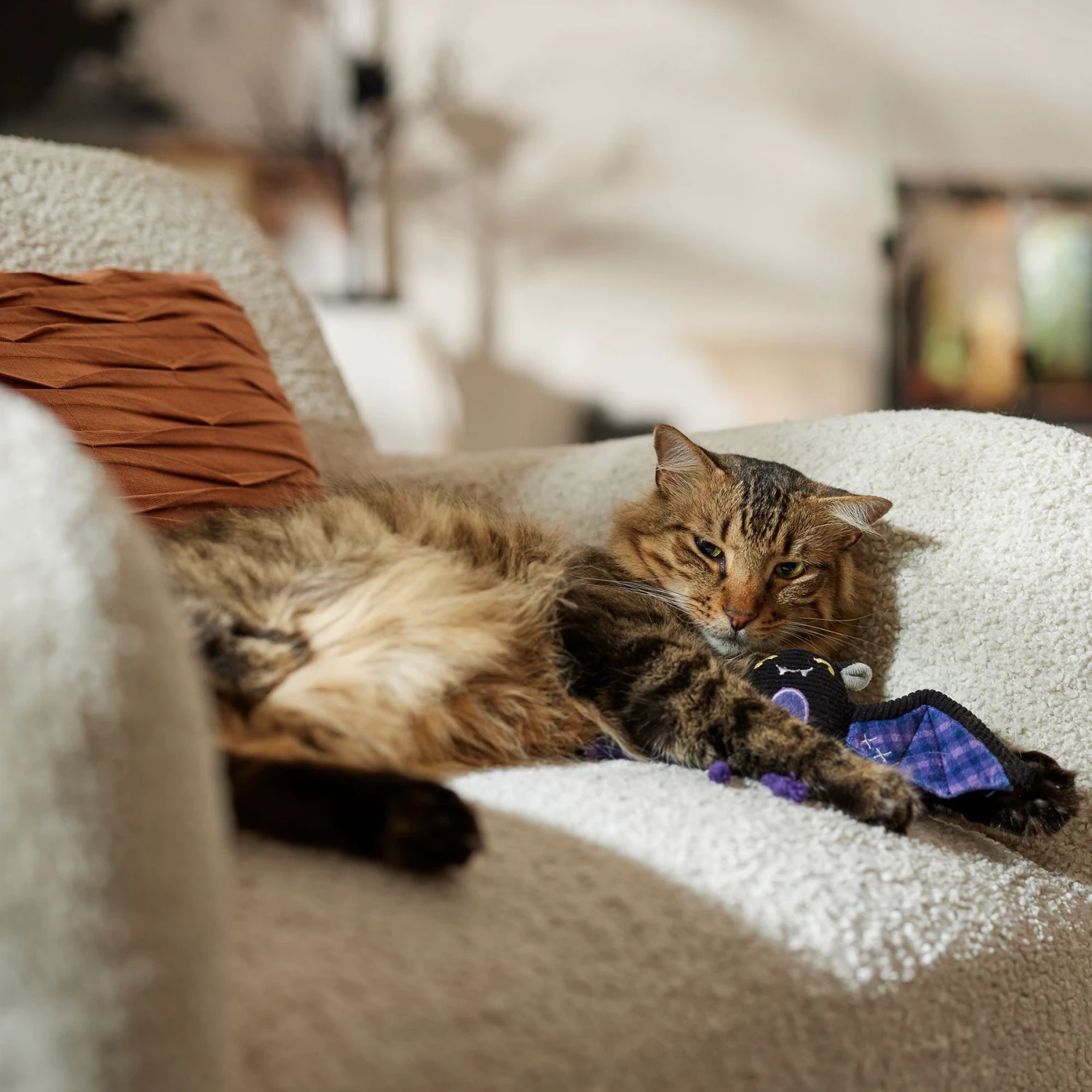 Frisco Halloween Cutie Bat Plush Cat Toy with Catnip