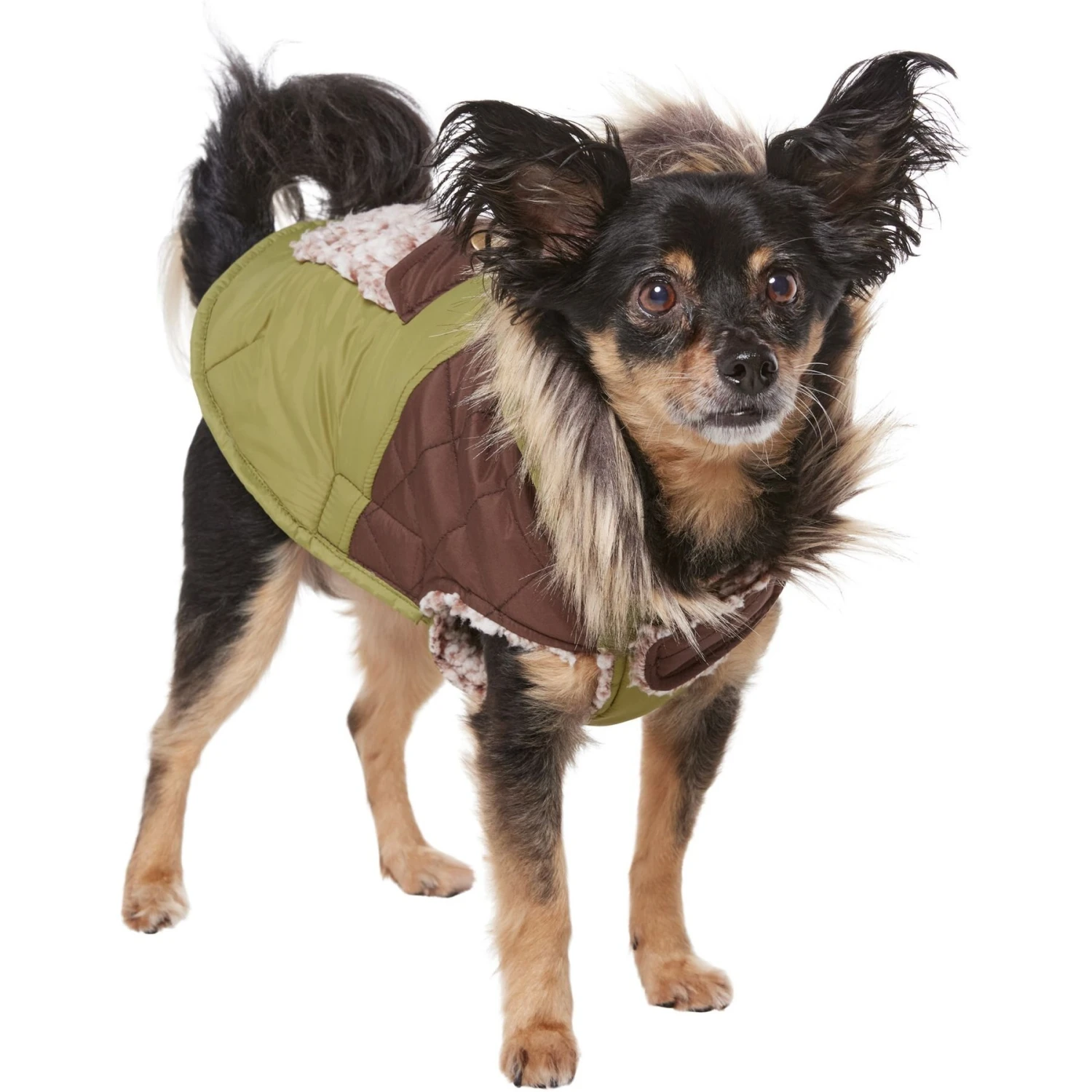 Frisco Heavy Weight 2-Tone Sherpa Lined Hybrid Quilted Dog & Cat Parka