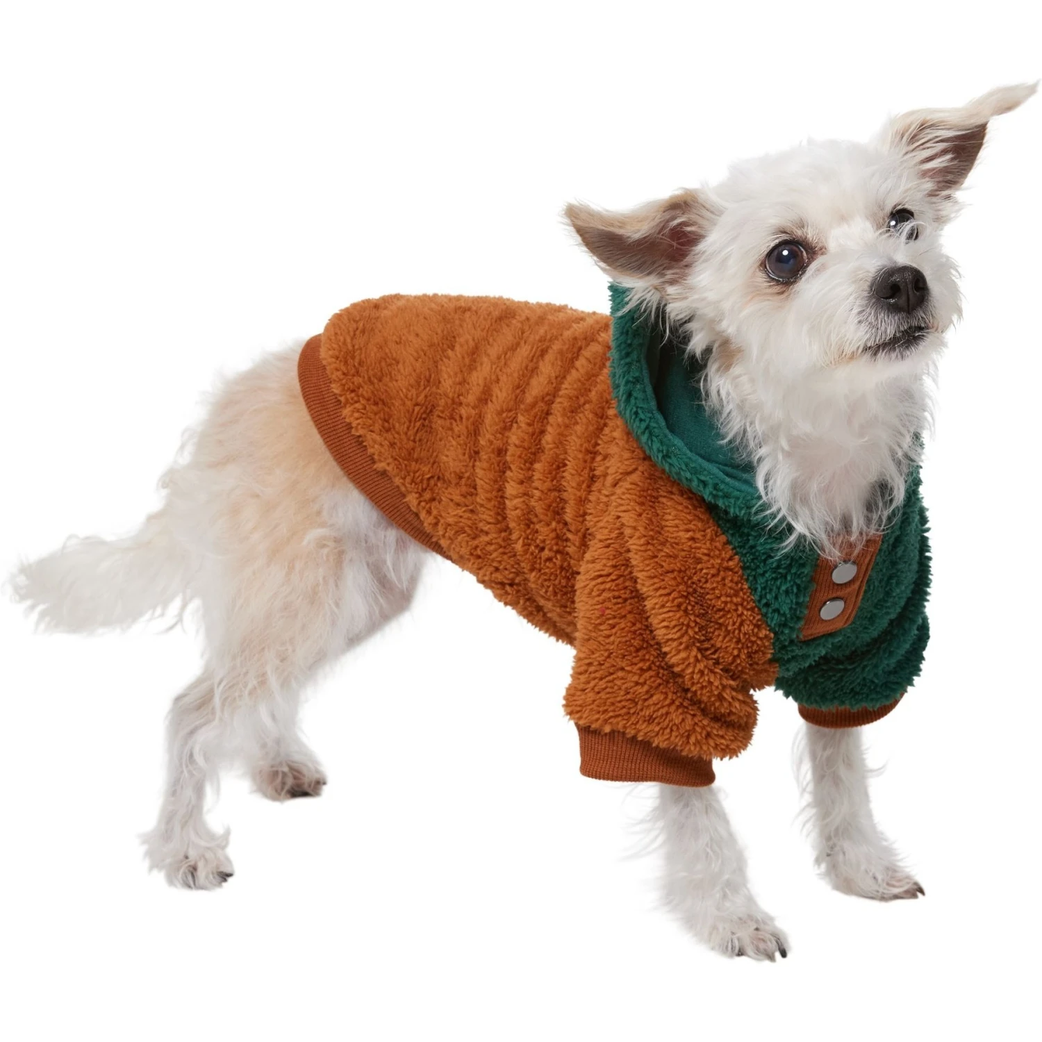 Frisco 2-Tone Colorblock Fleece Dog & Cat Hoodie