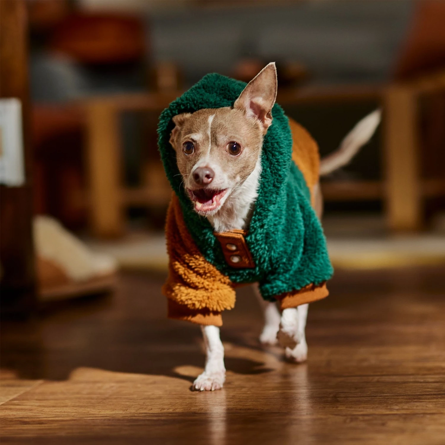 Frisco 2-Tone Colorblock Fleece Dog & Cat Hoodie