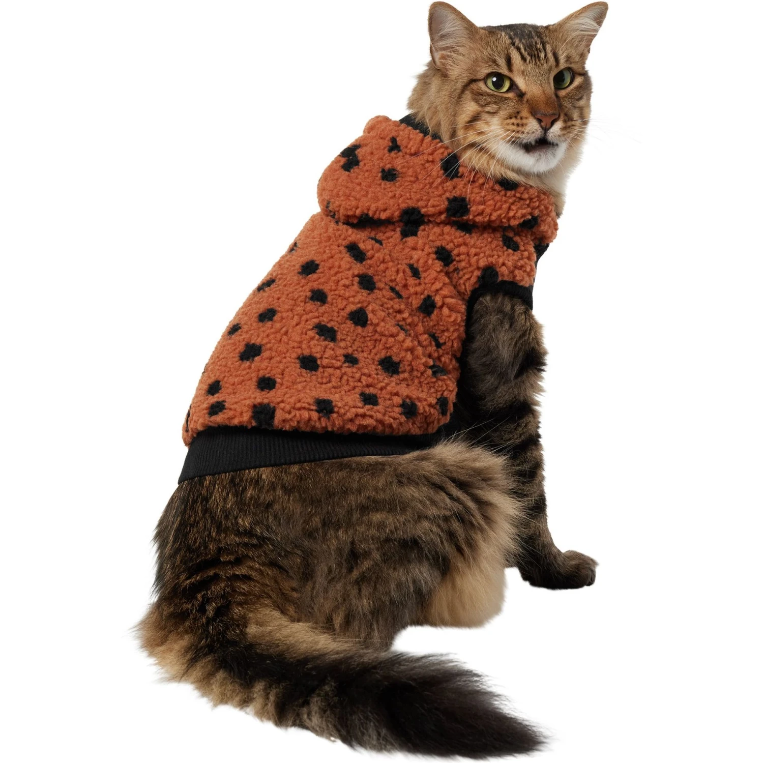 Frisco Dotted Dog & Cat Hoodie