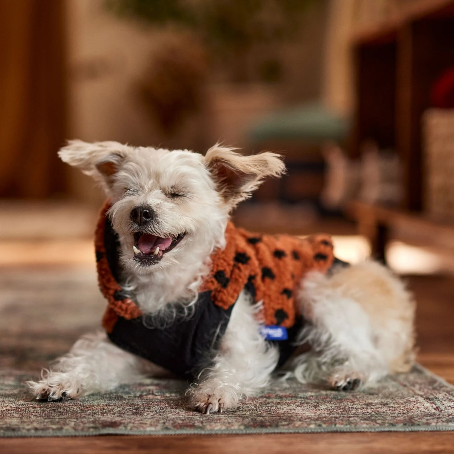 Frisco Dotted Dog & Cat Hoodie