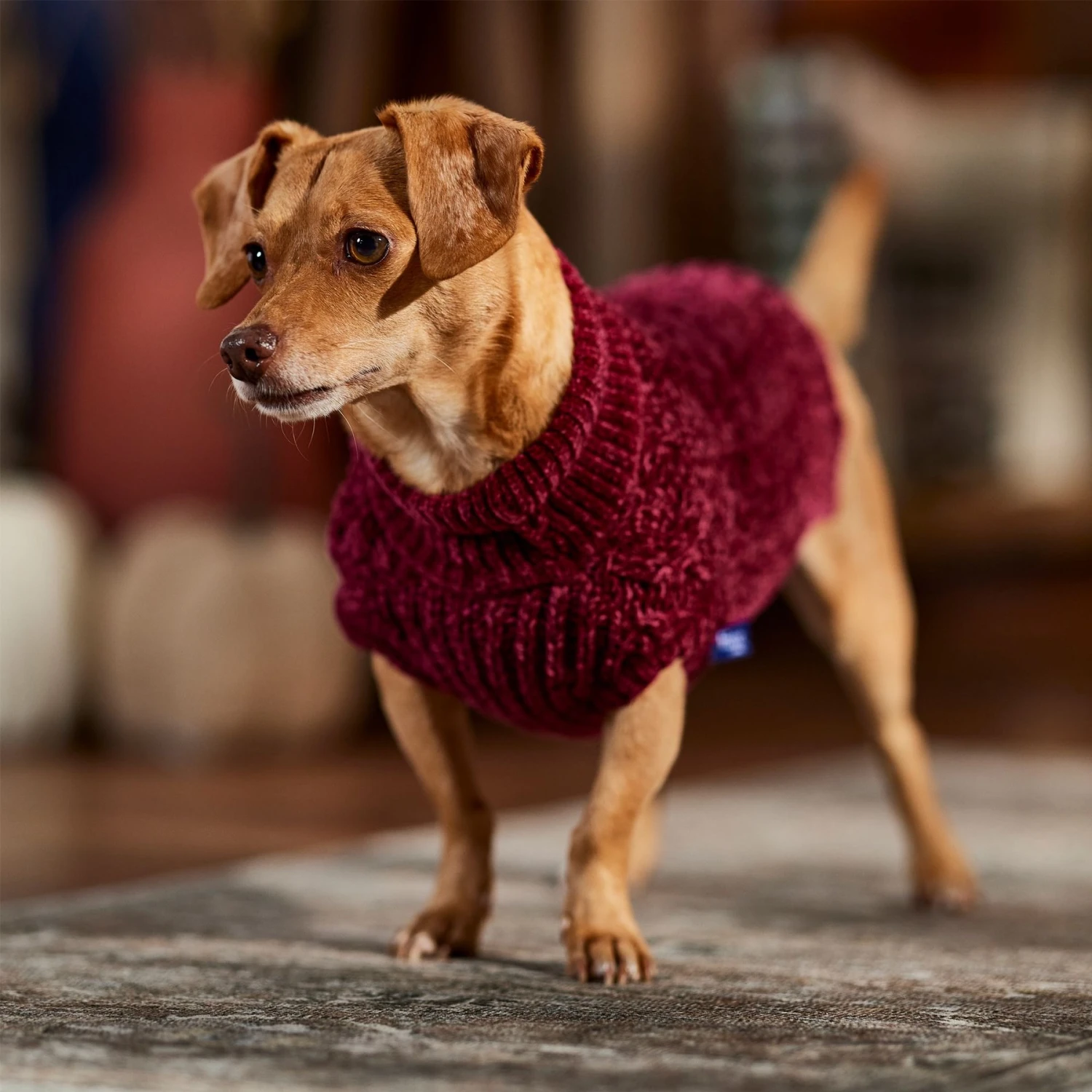 Frisco Cozy Textured Chenille Dog & Cat Sweater