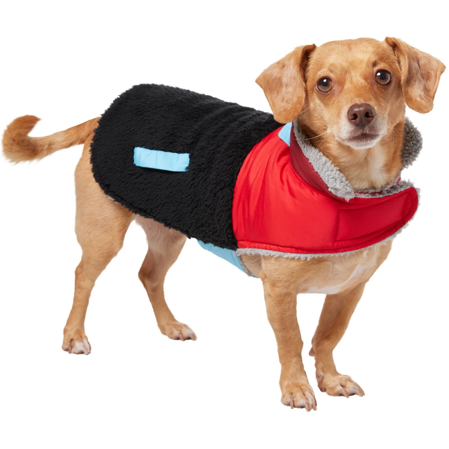Frisco Medium Weight Retro Colorblock Mixed Media Dog & Cat Coat