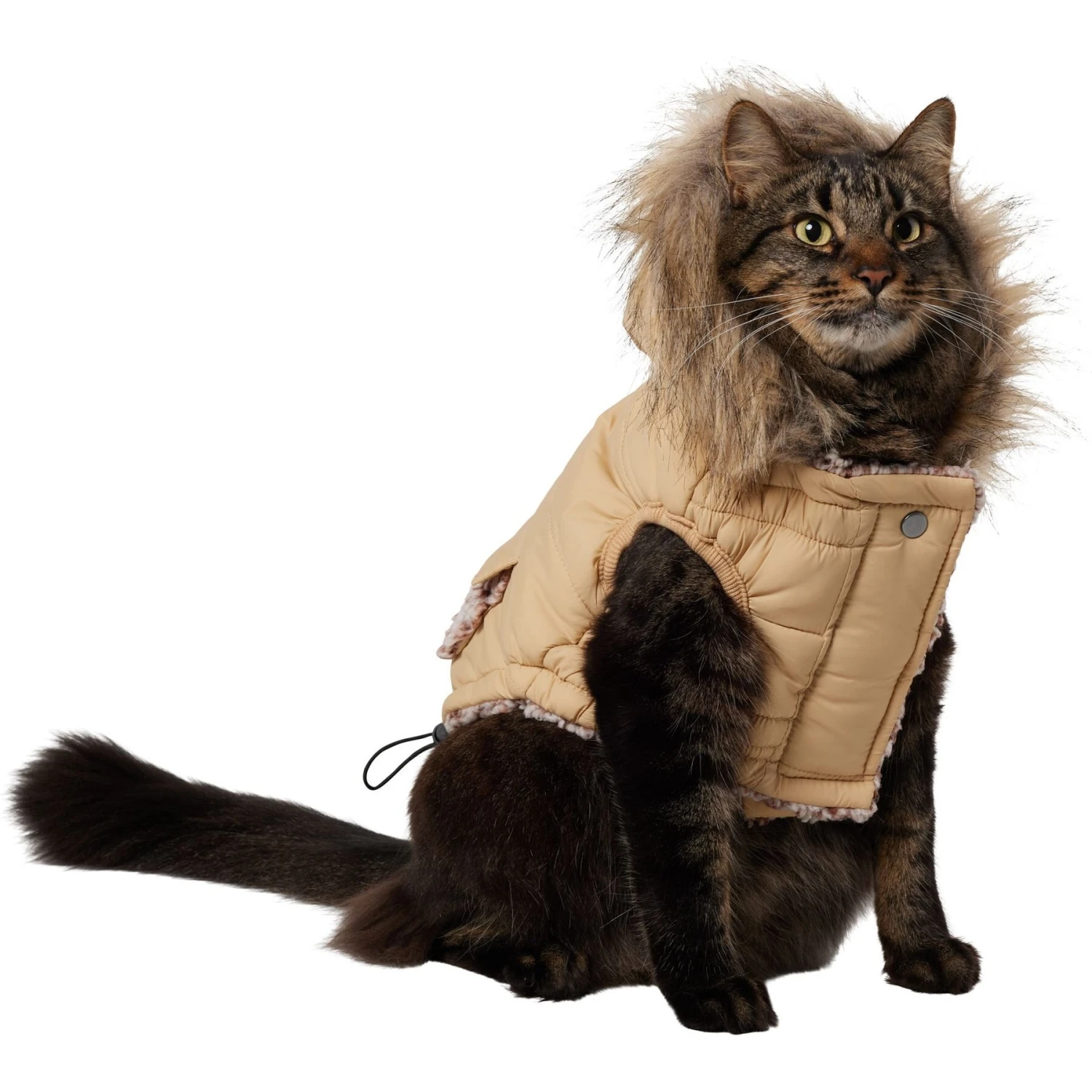 Frisco Heavy Weight Matte Quilted Dog & Cat Parka with Cozy Fleece Lining