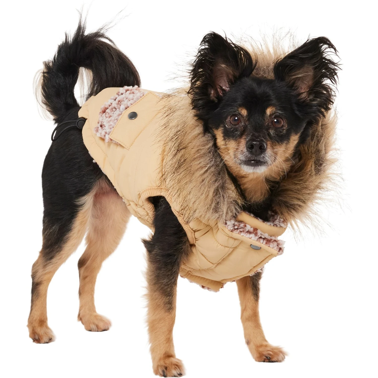 Frisco Heavy Weight Matte Quilted Dog & Cat Parka with Cozy Fleece Lining
