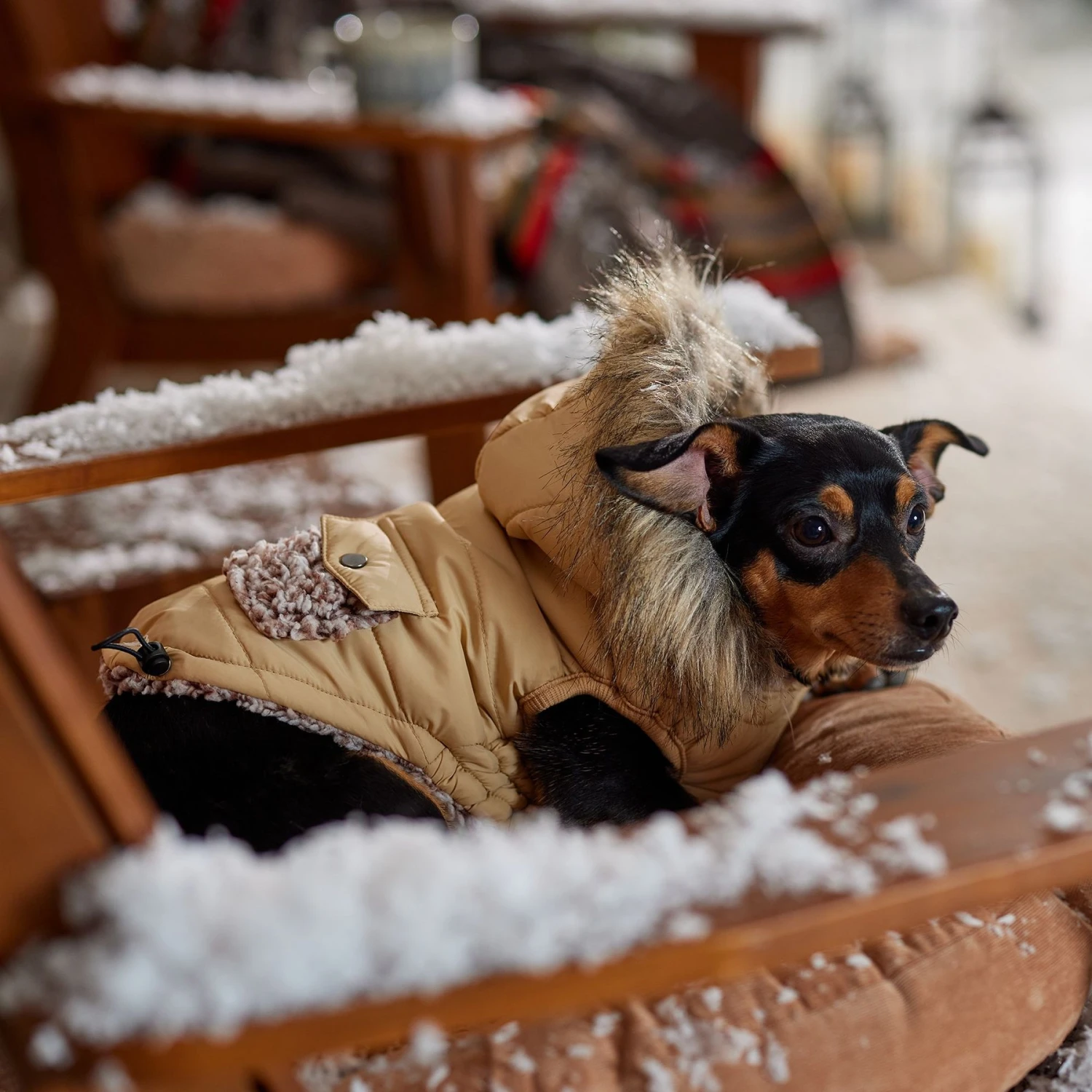 Frisco Heavy Weight Matte Quilted Dog & Cat Parka with Cozy Fleece Lining