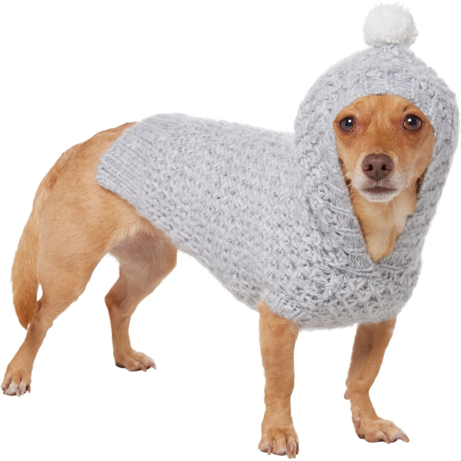 Frisco Heathered Chunky Dog & Cat Hooded Sweater