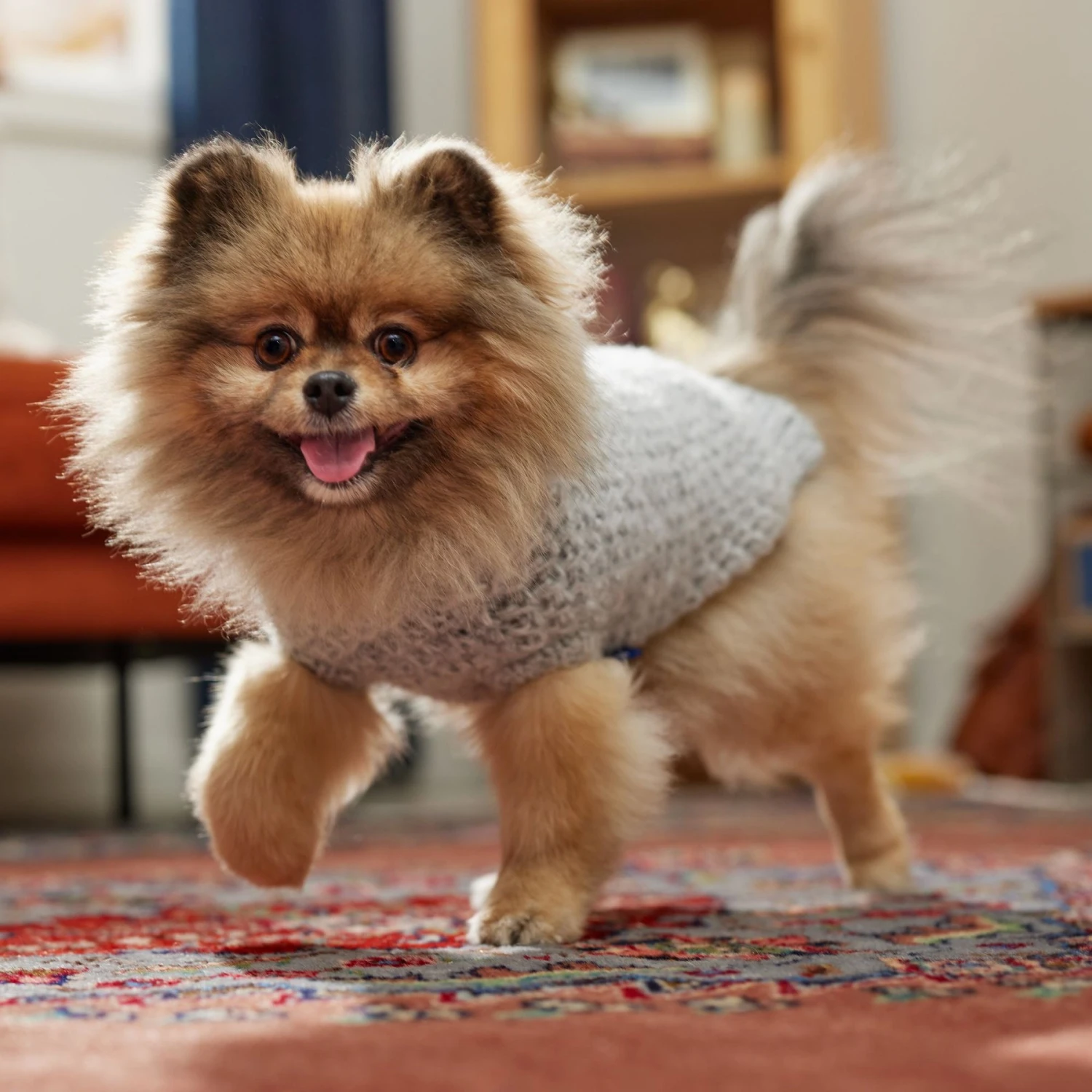 Frisco Heathered Chunky Dog & Cat Hooded Sweater