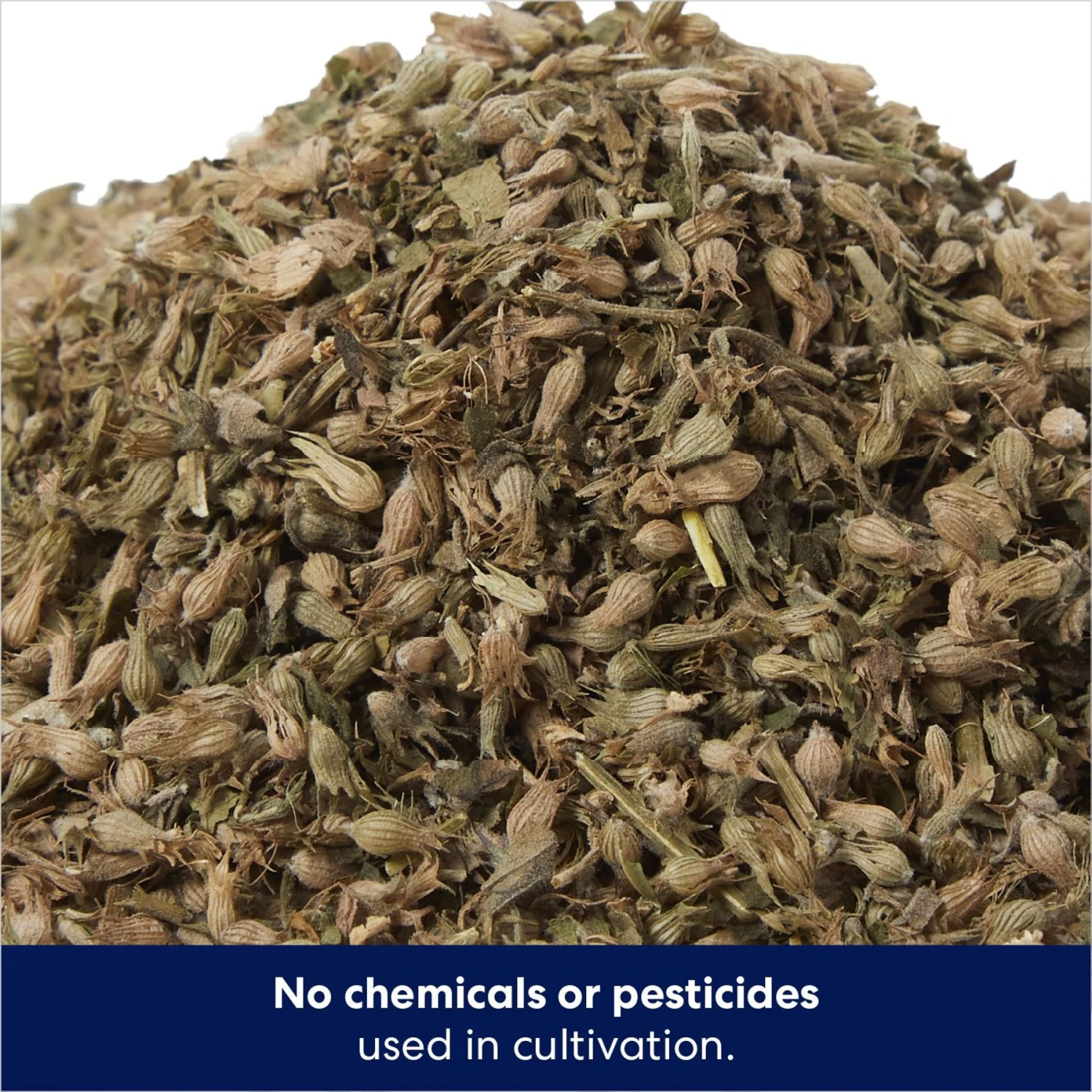 Frisco Natural Catnip & Hartz Just for Cats Mini Mice Cat Toy with Catnip, 5 count