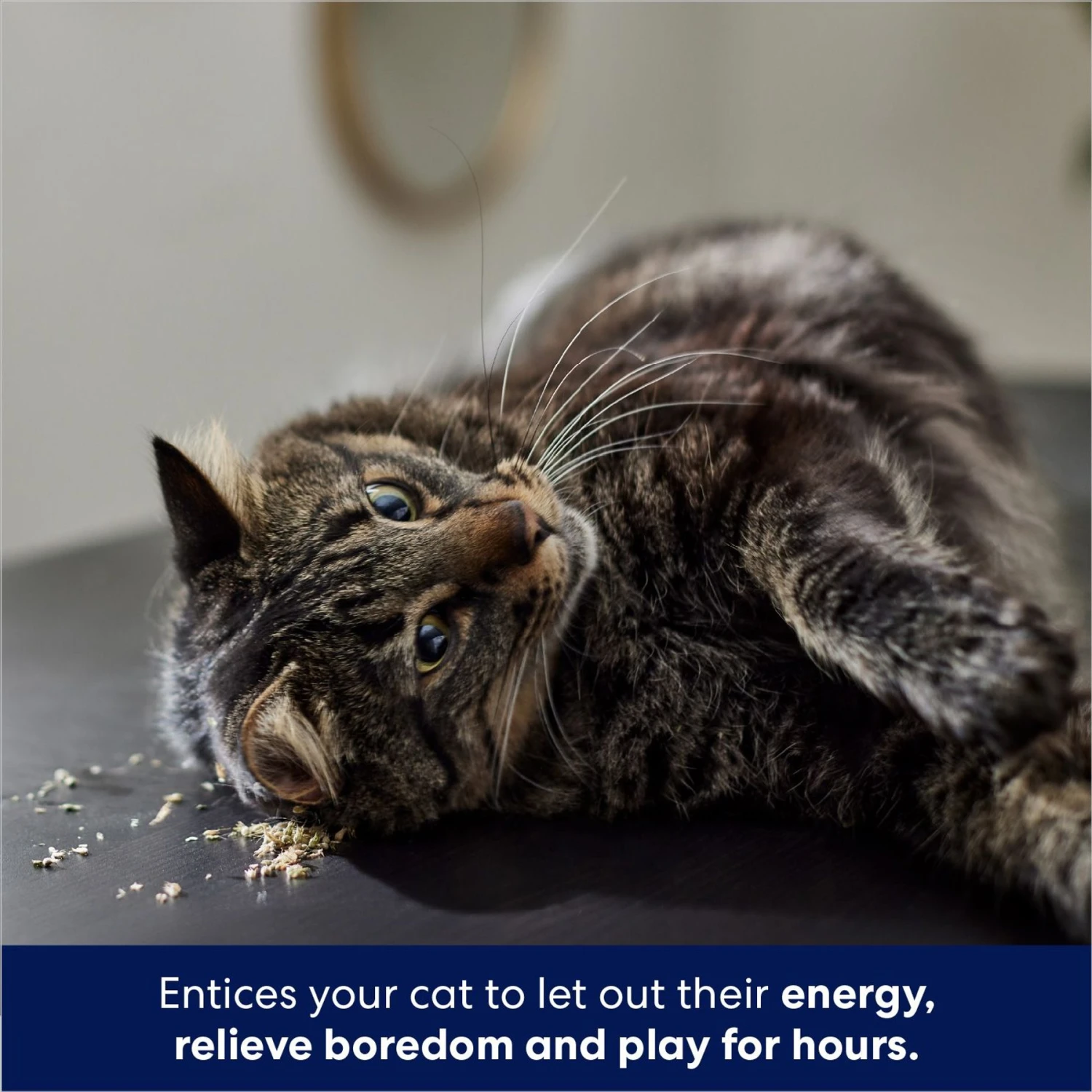 Frisco Natural Catnip & Hartz Just for Cats Mini Mice Cat Toy with Catnip, 5 count