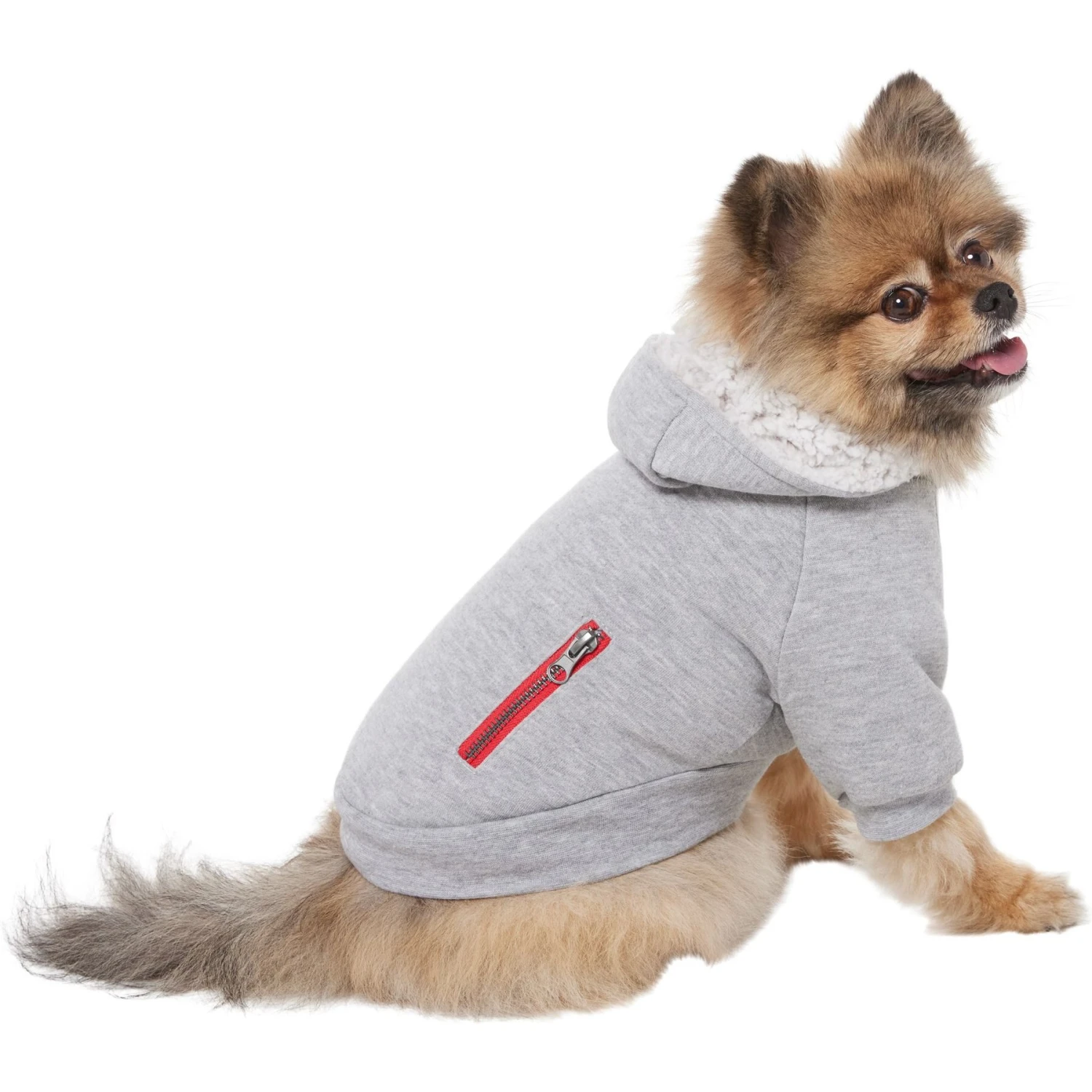 Frisco Sweatshirt Fleece Dog & Cat Hoodie with Sherpa Lining