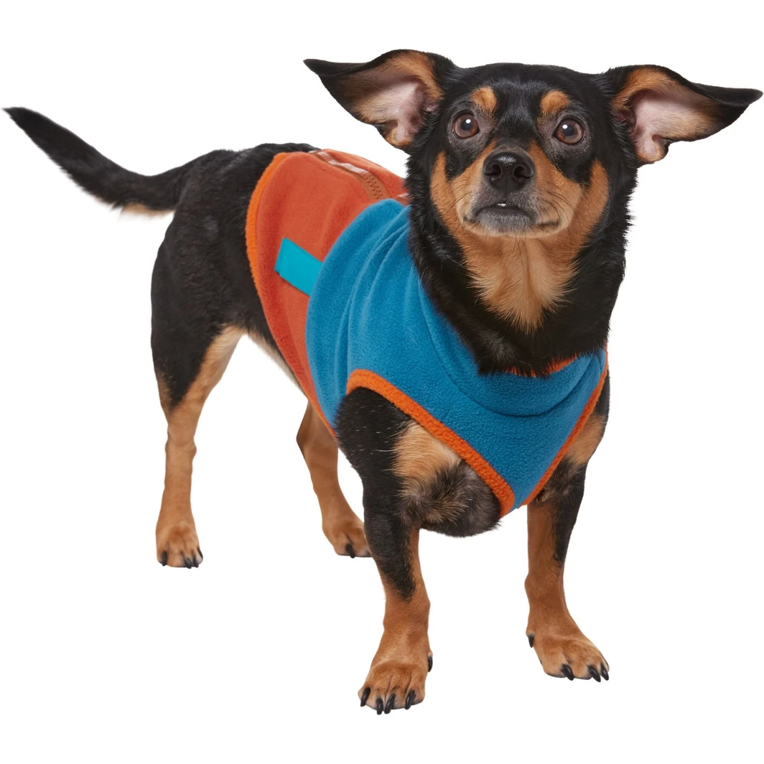 Frisco Light Weight Utility Colorblock Fleece Dog & Cat Vest