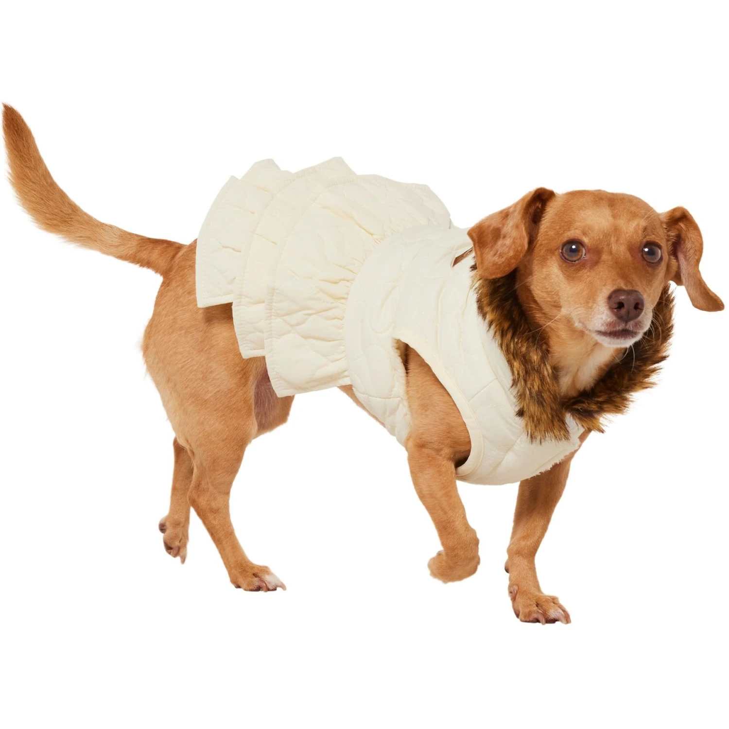Frisco Medium Weight Quilted Ruffle Tiered Dog & Cat Dress