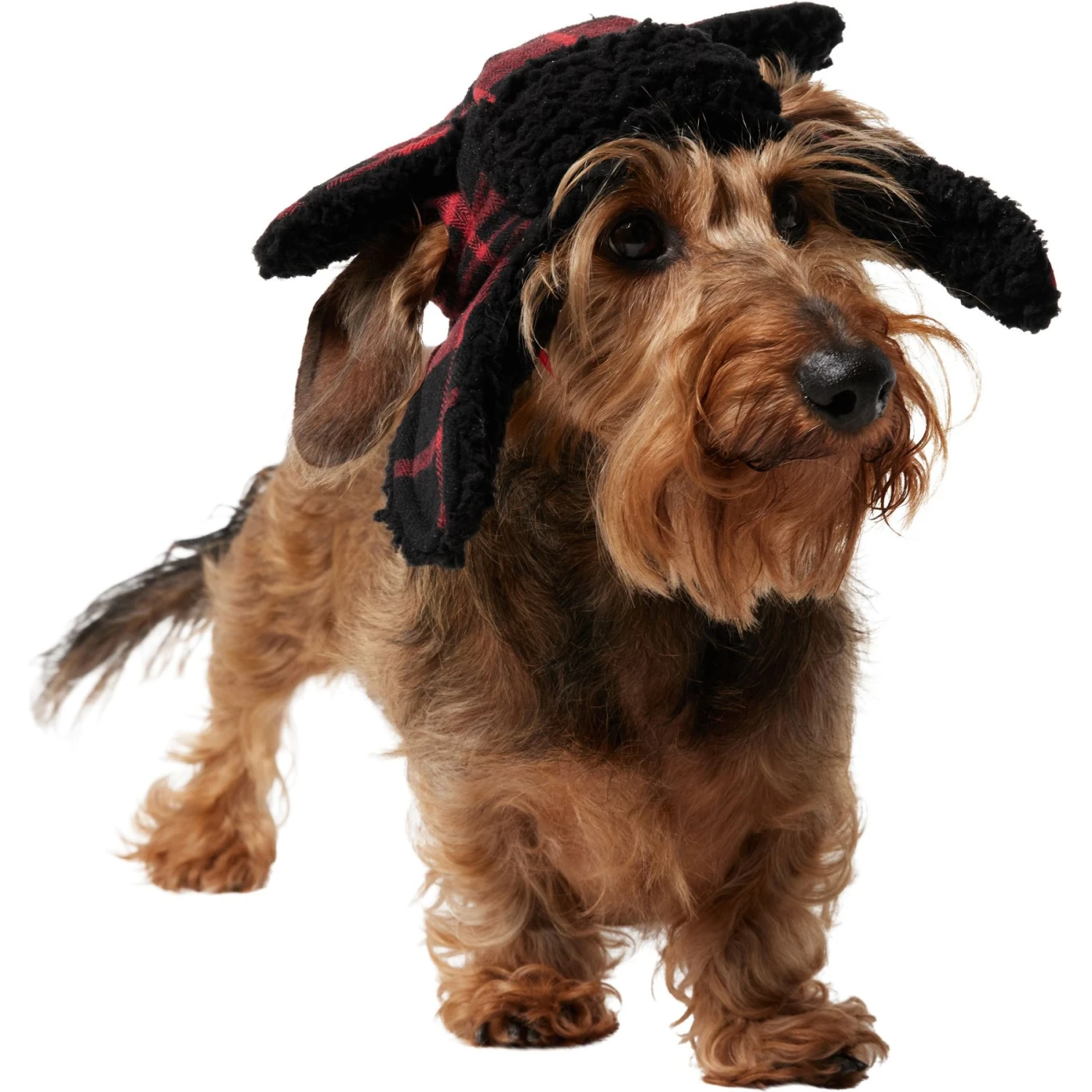 Frisco Tartan Plaid Dog & Cat Trapper Hat